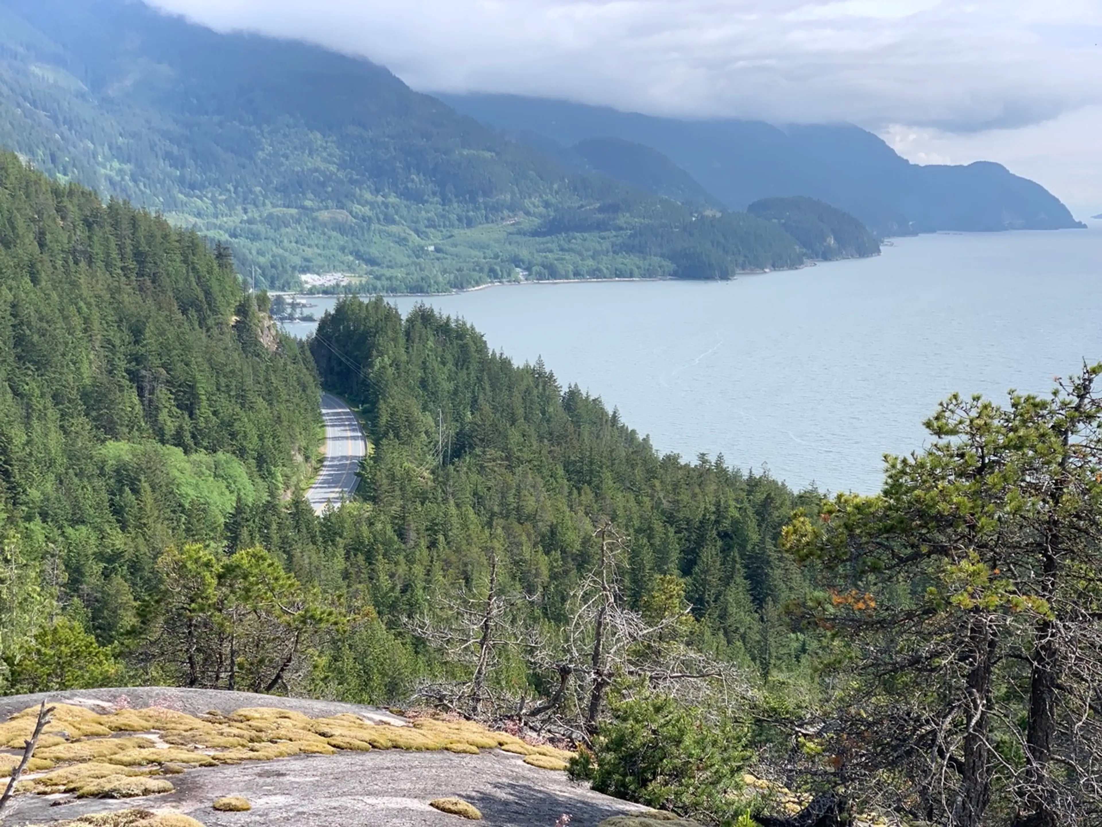 The view from Brian's Lookout at Murrin Provincial Park