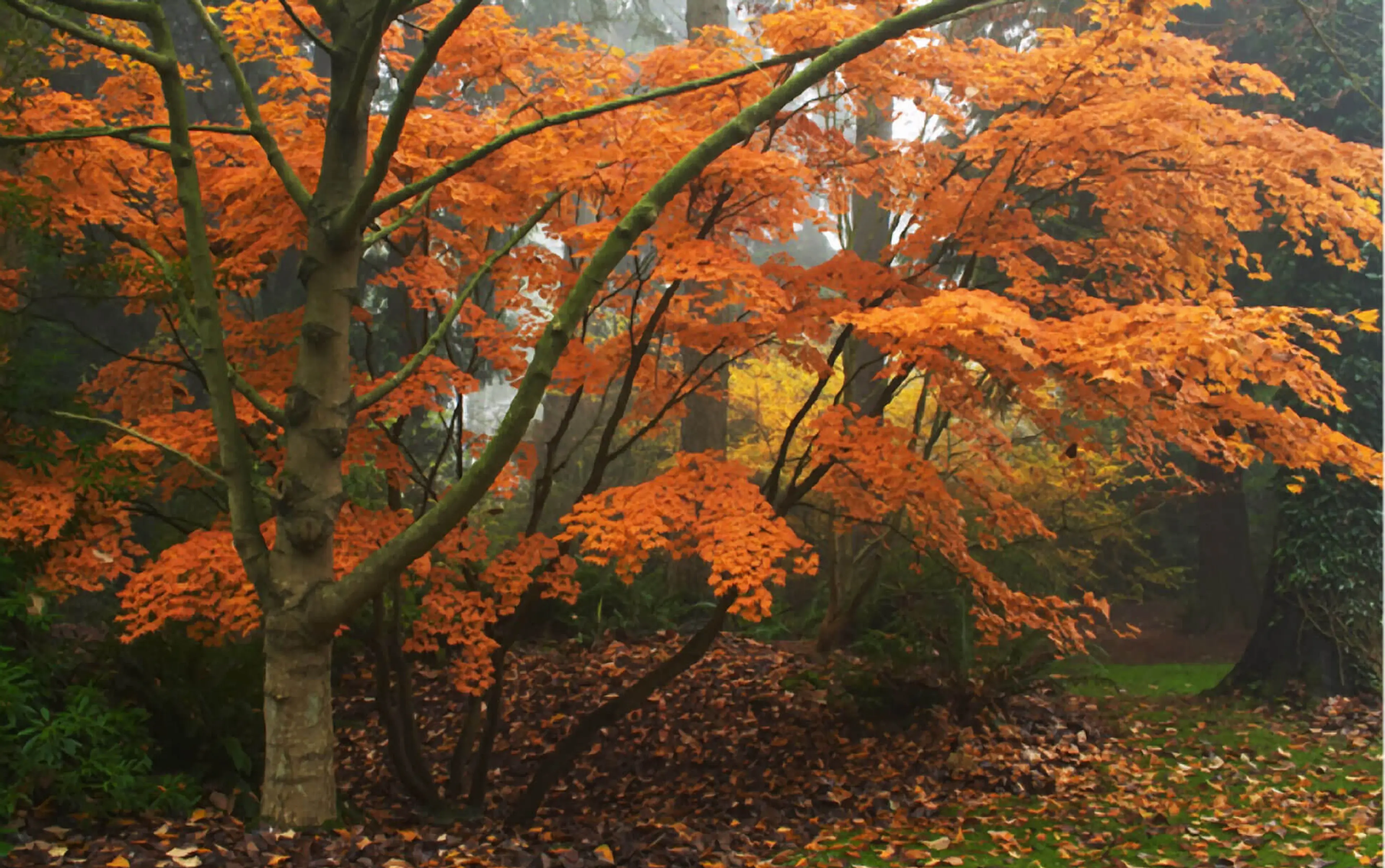 8 Outdoorsy Things to Do Around Vancouver This Thanksgiving Weekend