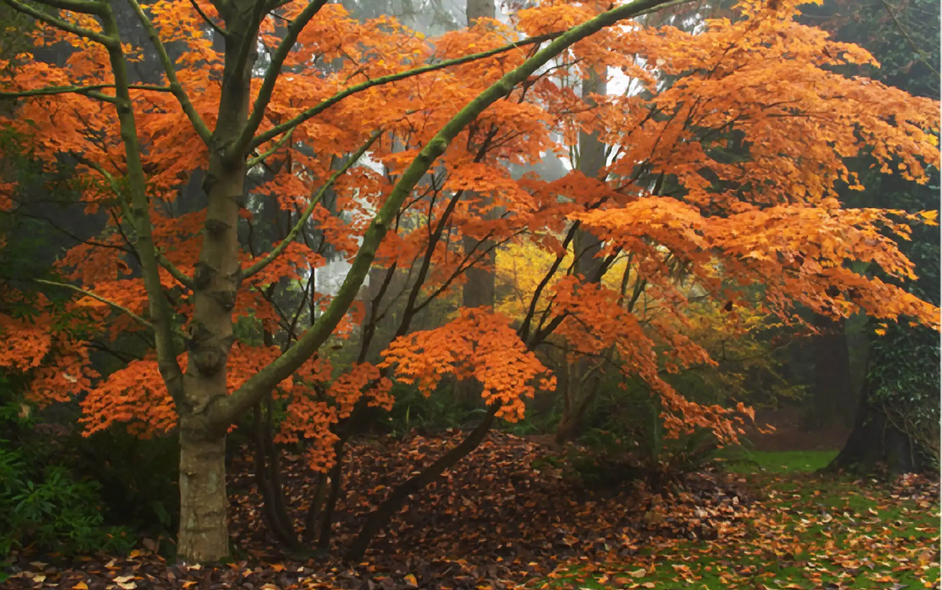 8 Outdoorsy Things to Do Around Vancouver This Thanksgiving Weekend