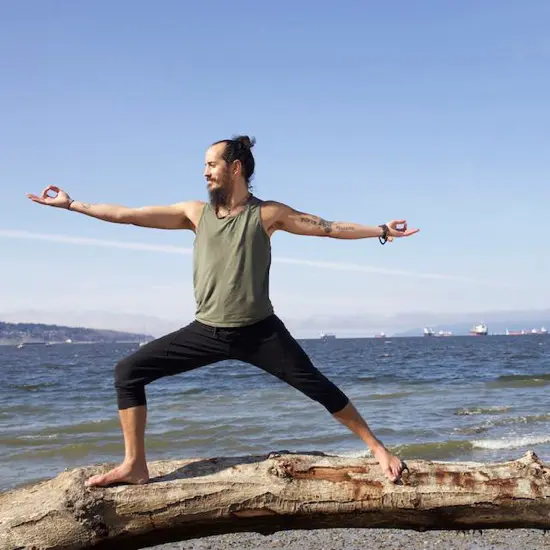 Sourced from the Semperviva Facebook page