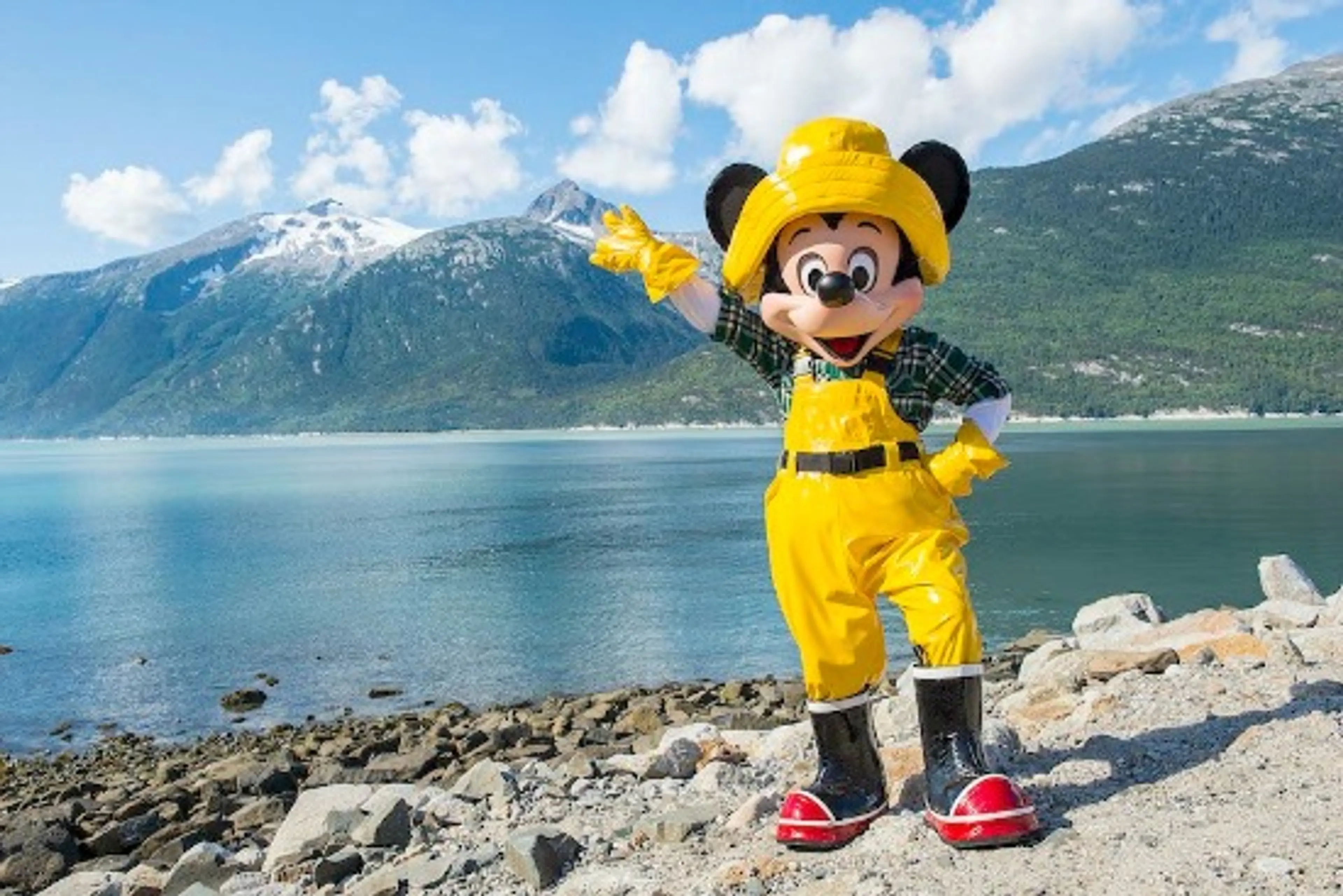 DW Mickey