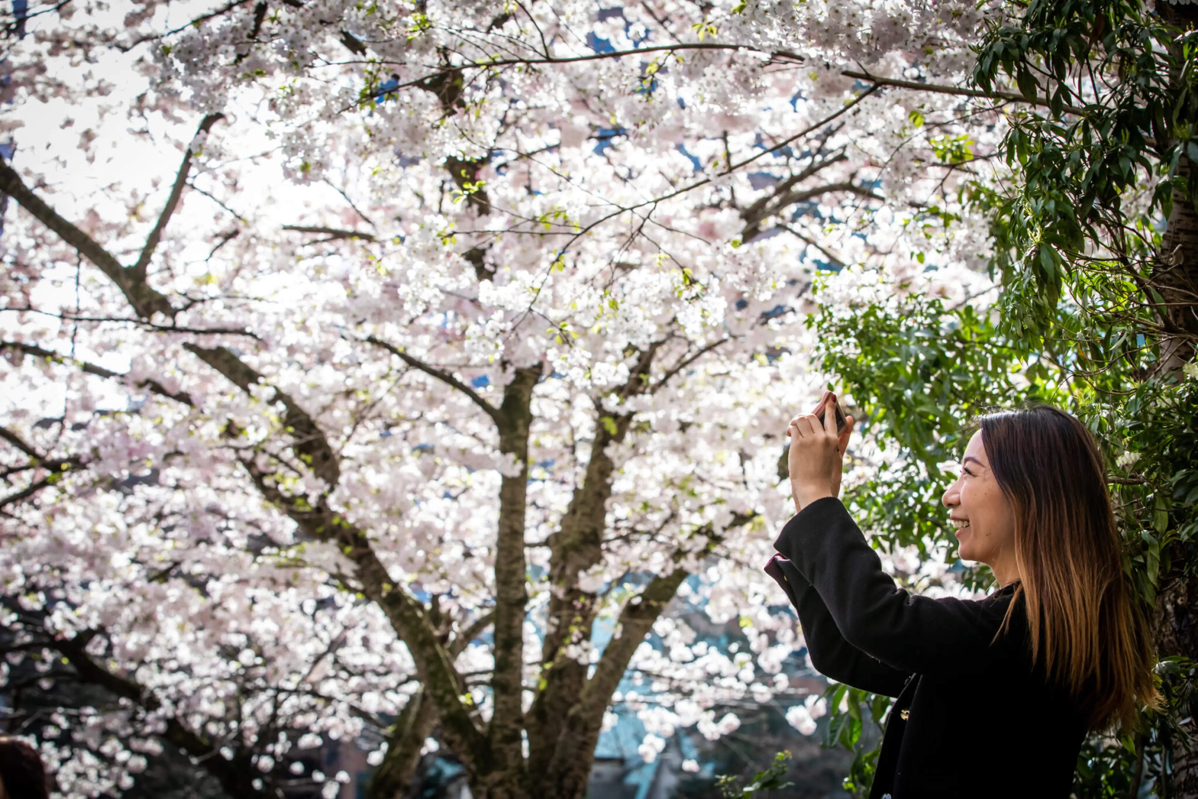 Things To Do in Vancouver This Weekend
