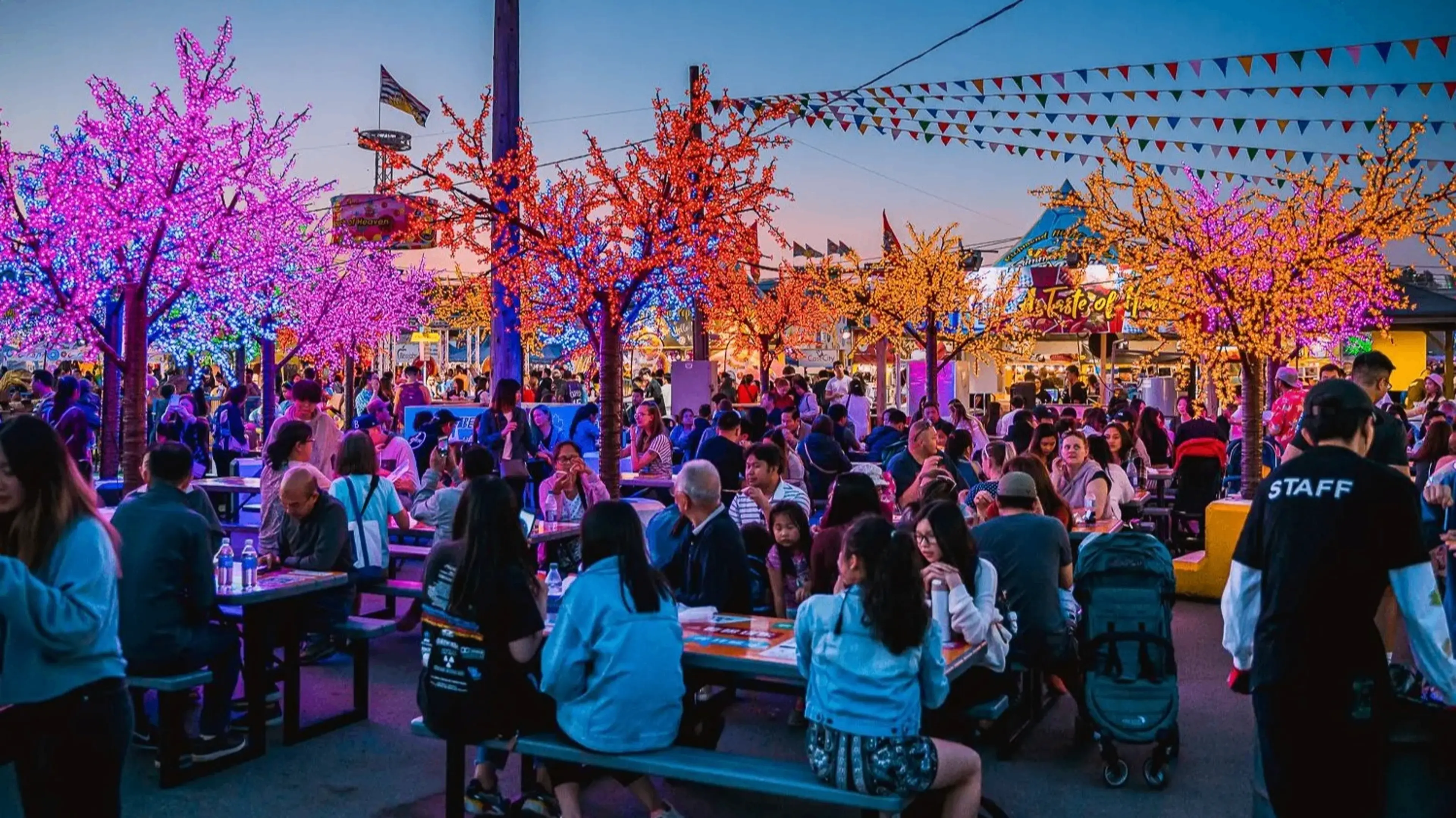 w-1498h-843-7dffeb-Night-Market-3