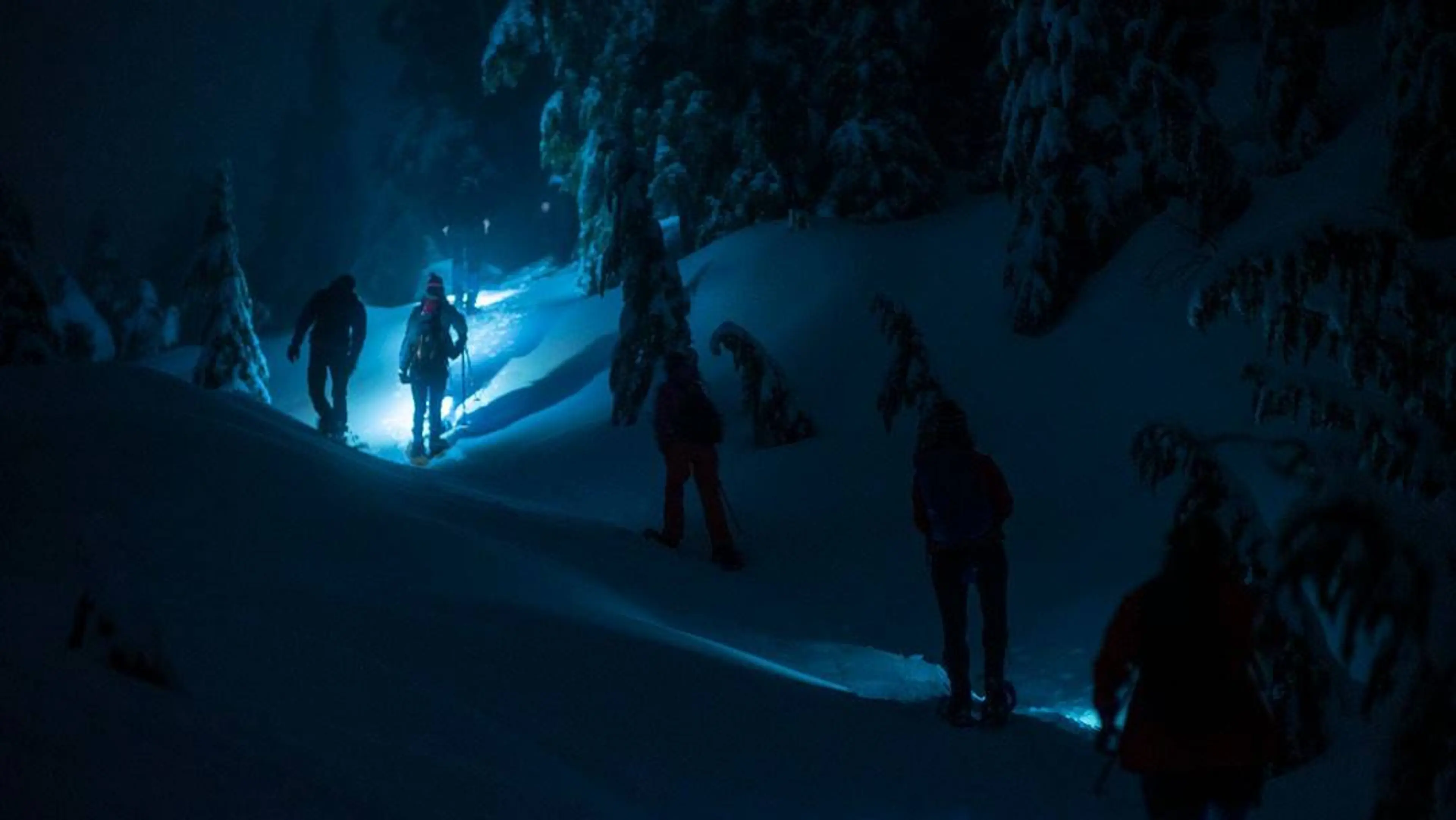 Moonlight snowshoe tour on Grouse Mountain