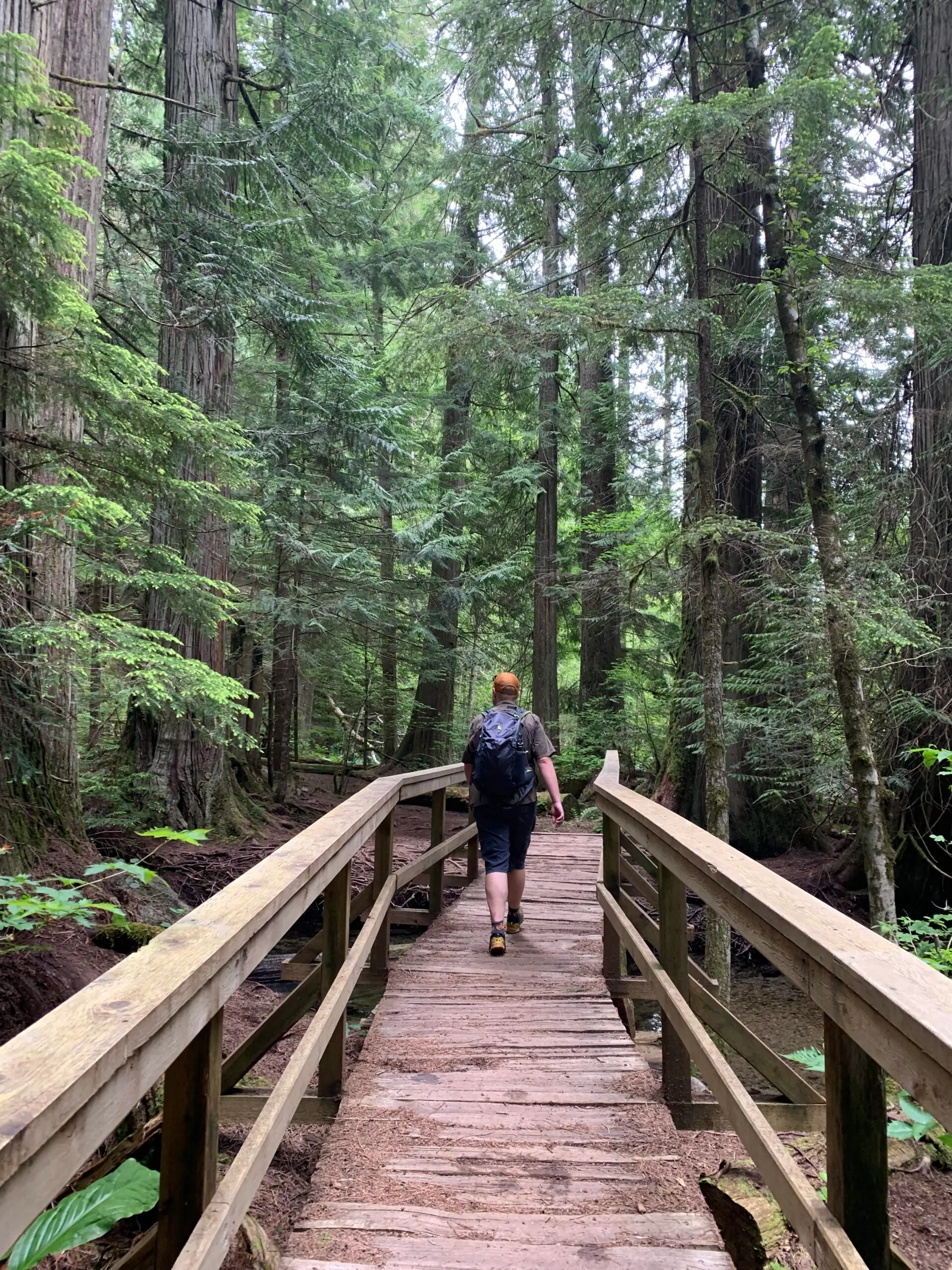 Forest trail around Brohm Lake