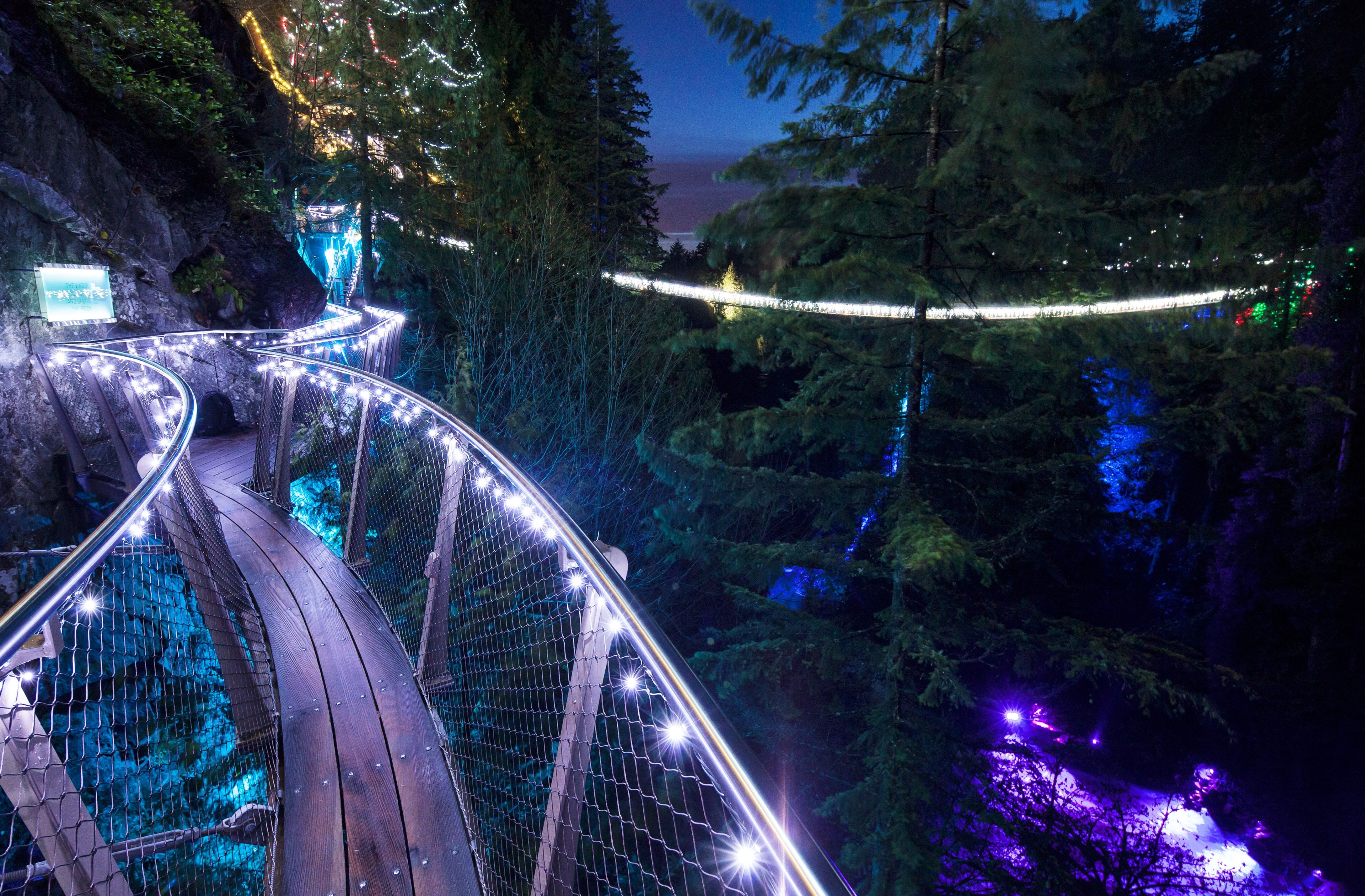 w-5355h-3517-d8c3b1-Canyon Lights - Cliffwalk with Capilano Suspension Bridge in the background
