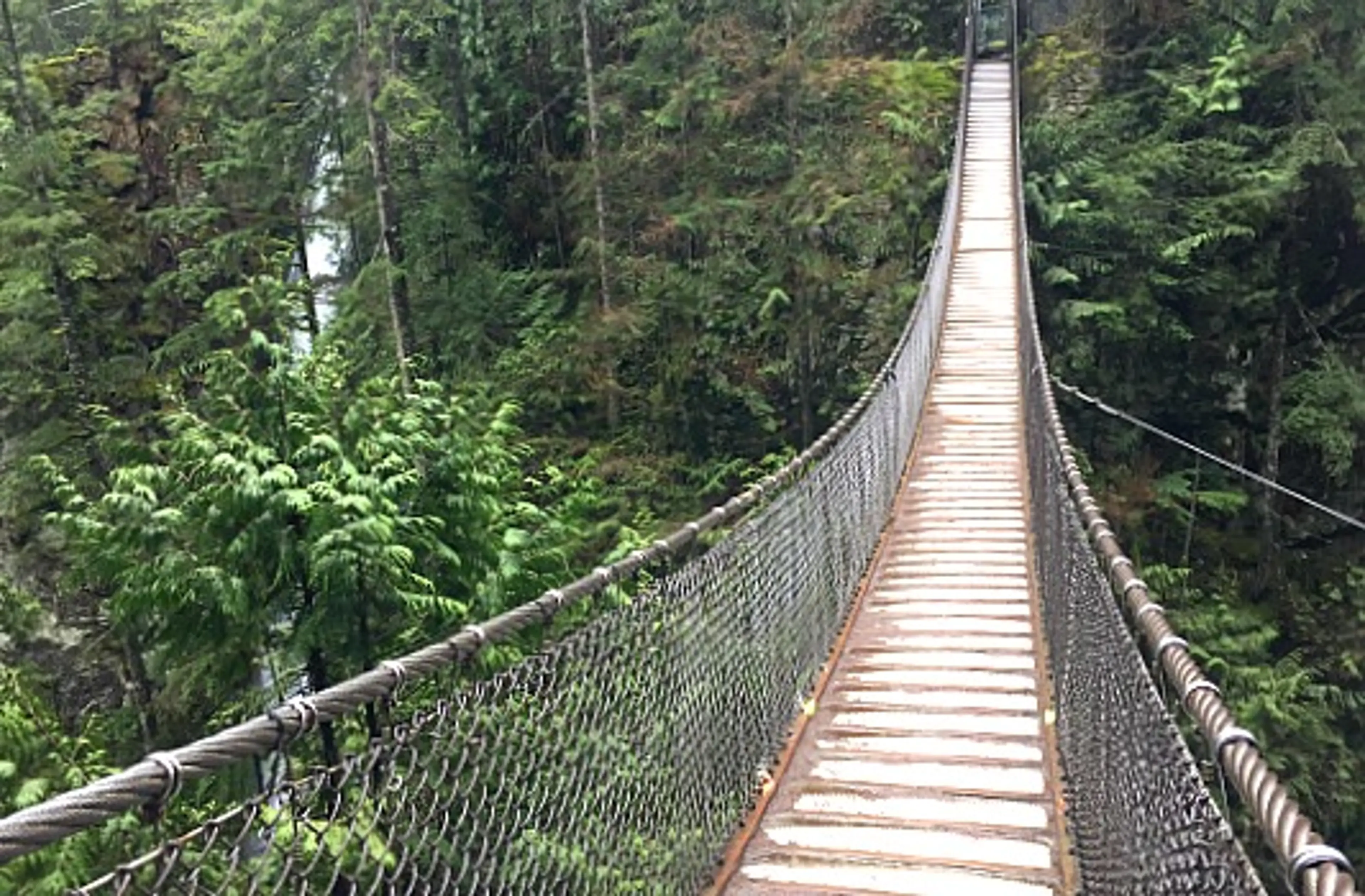 Lynn Canyon Park | Lynn Valley, North Vancouver