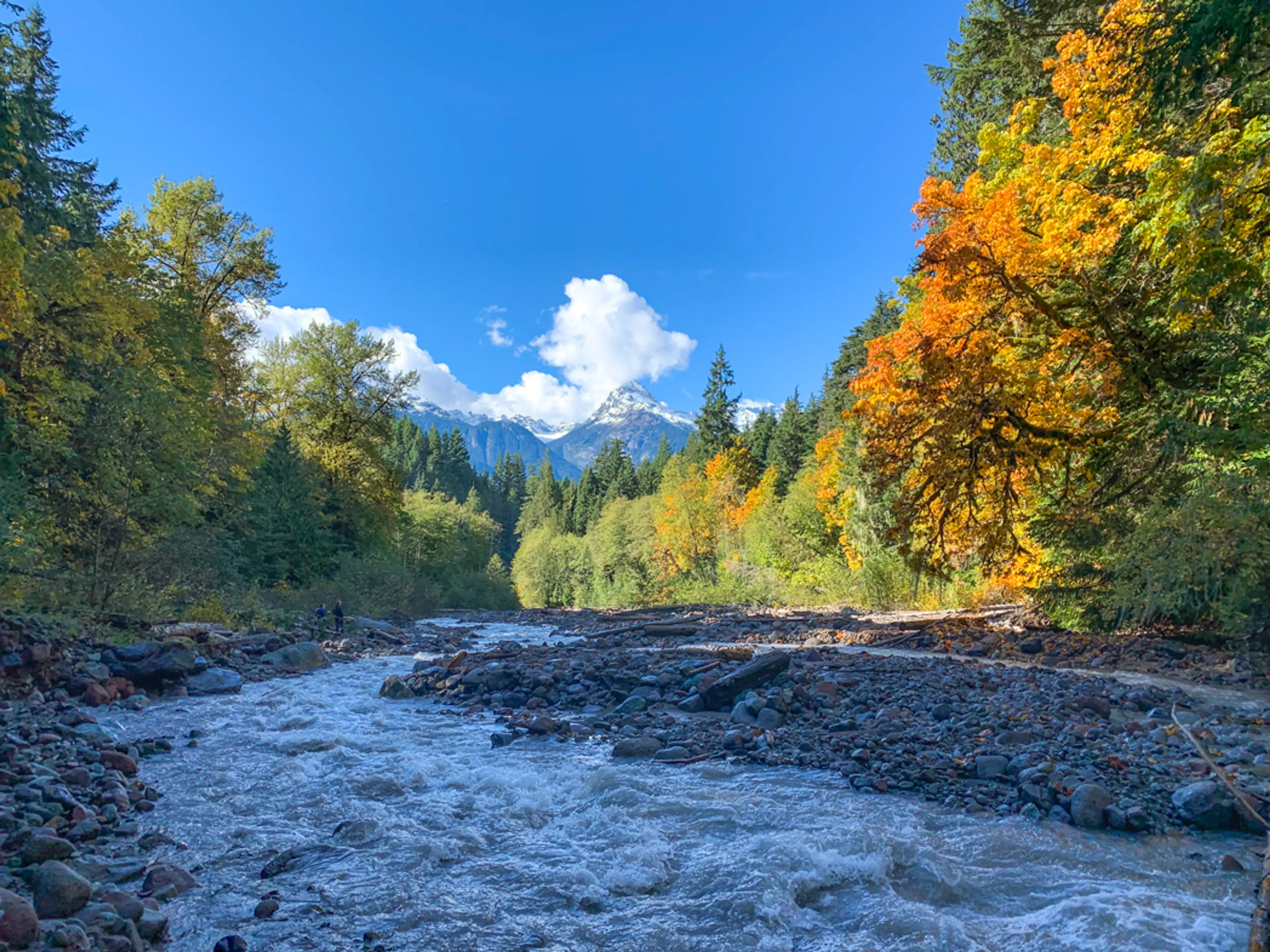 View of the Tantalus Mountains from the Cheekeye River