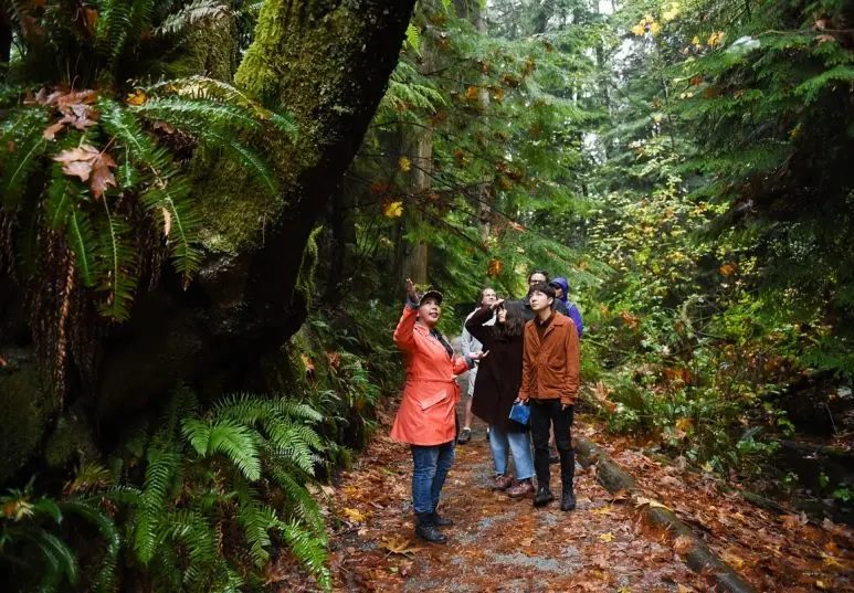 Group of people on a forest trail surrounded by green ferns and moss-covered trees, one person in an orange coat pointing upwards.