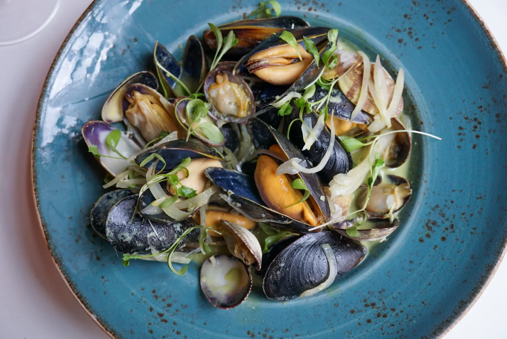 Cooked mussels and clams garnished with herbs and onions on a blue plate.