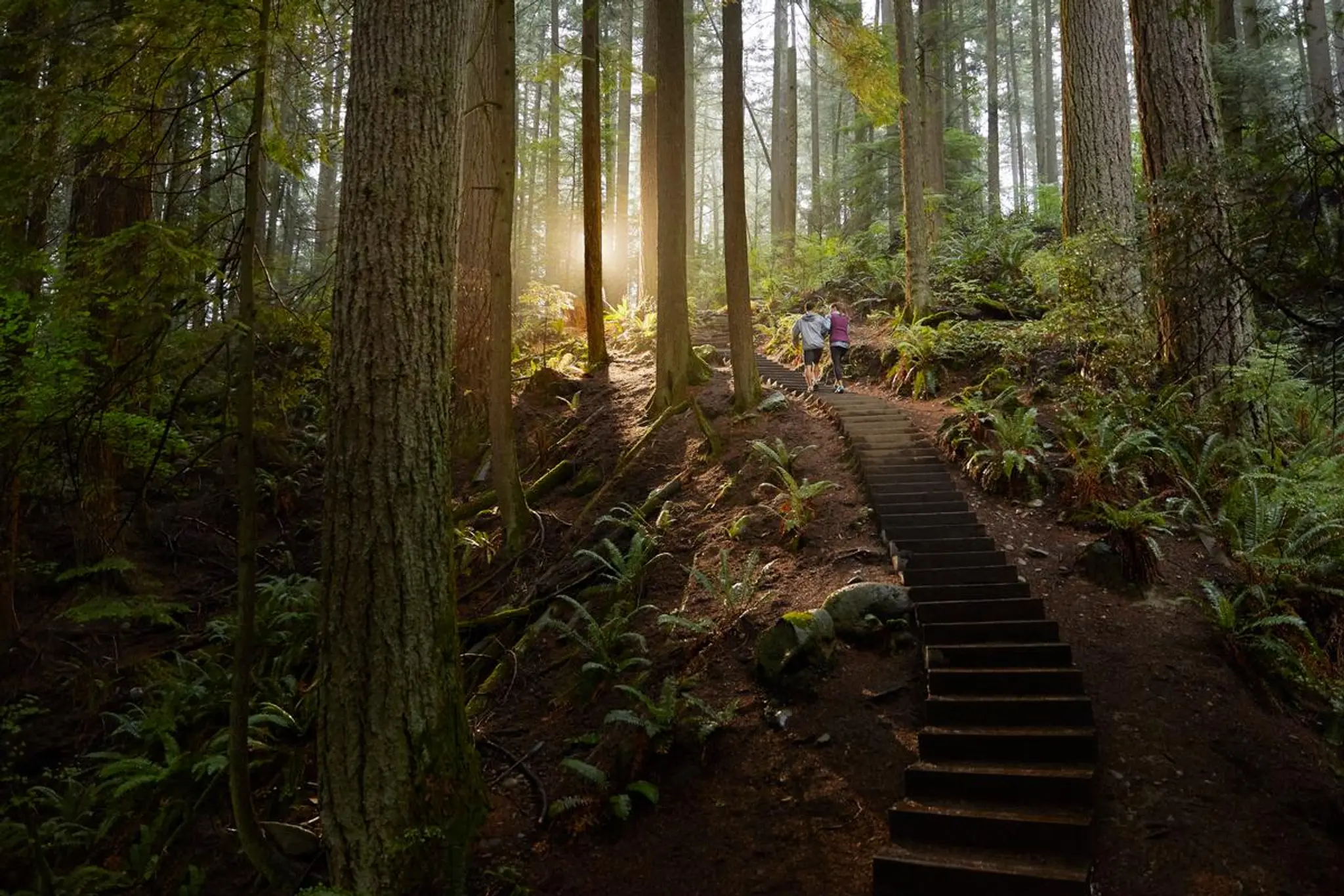 Two people hiking up wooden stairs of the Grouse grind in a dense forest with sunlight filtering through tall trees.