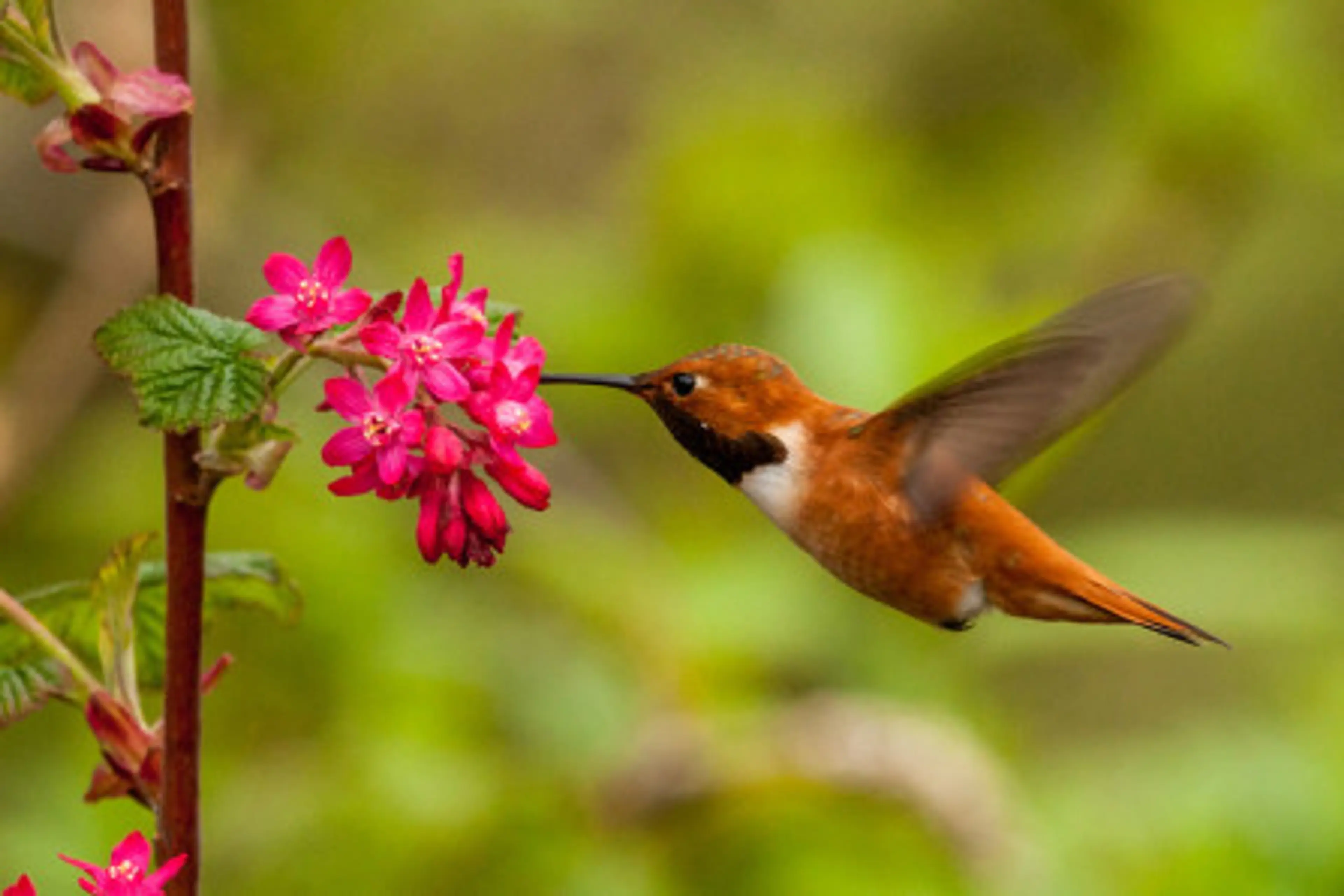 Birds of a Feather | image by Mark White