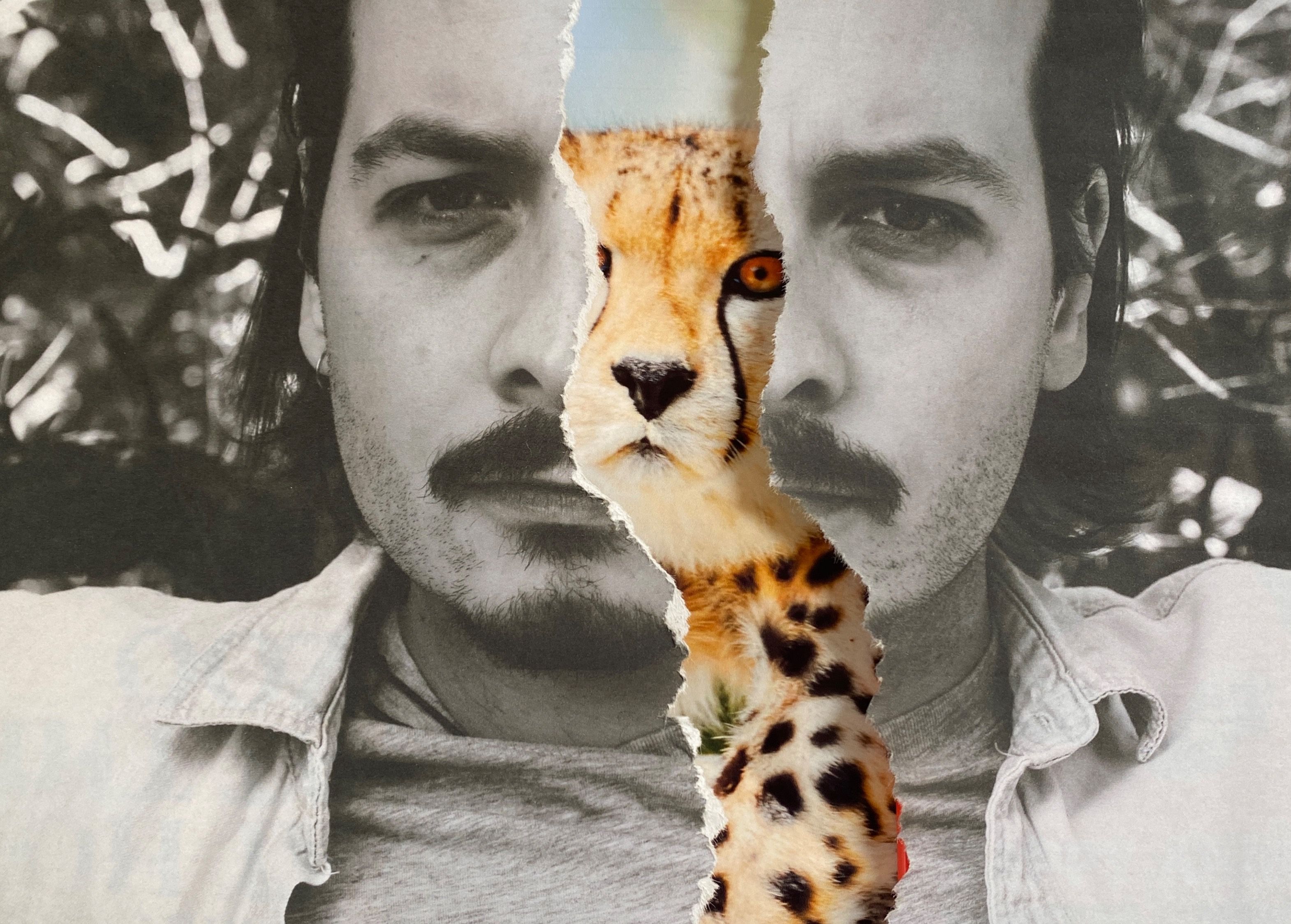 w-3140h-2248-611efb-IMG_8615