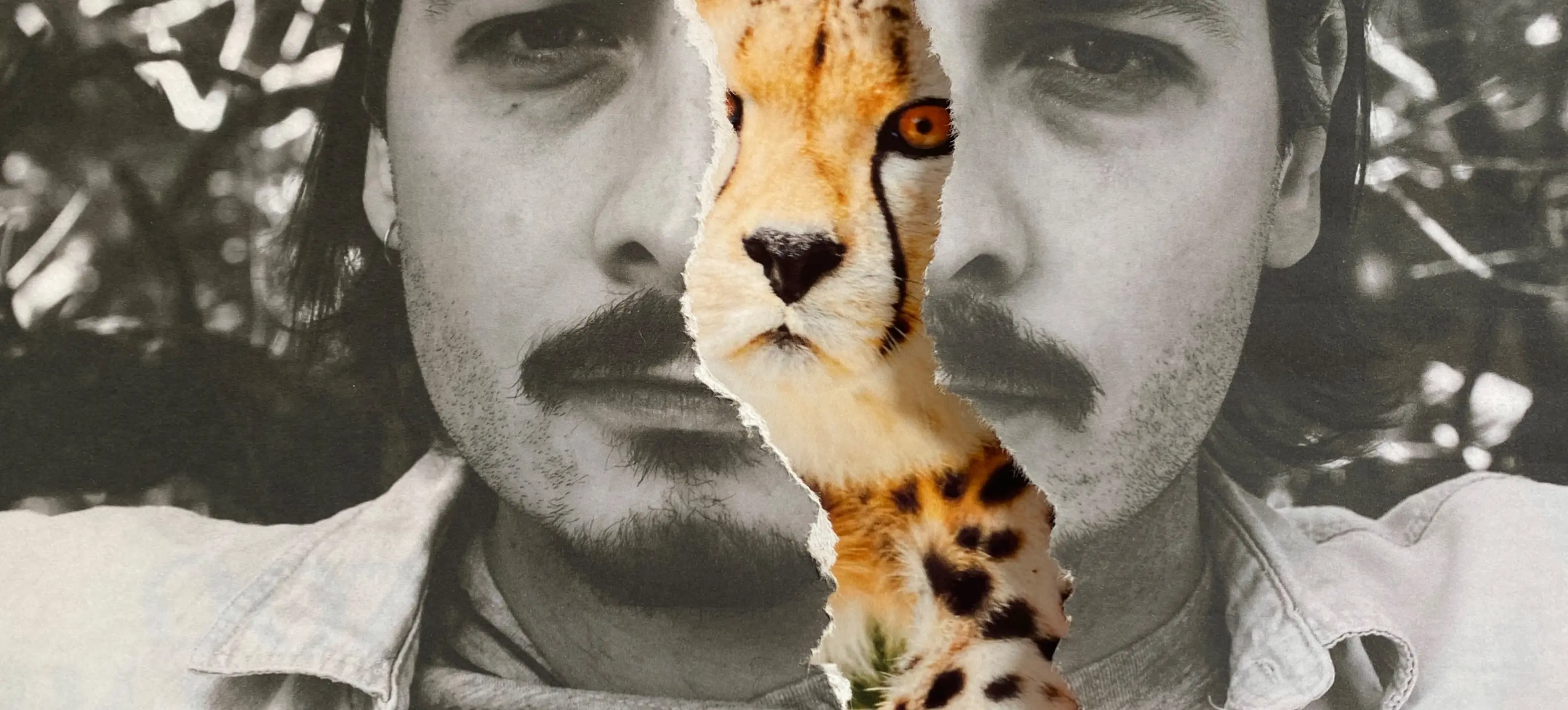 w-3140h-2248-611efb-IMG_8615