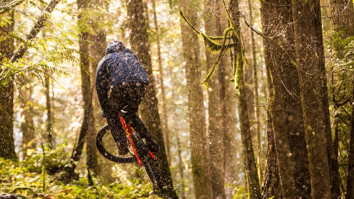 A mountain biker jumps in a mossy forest.