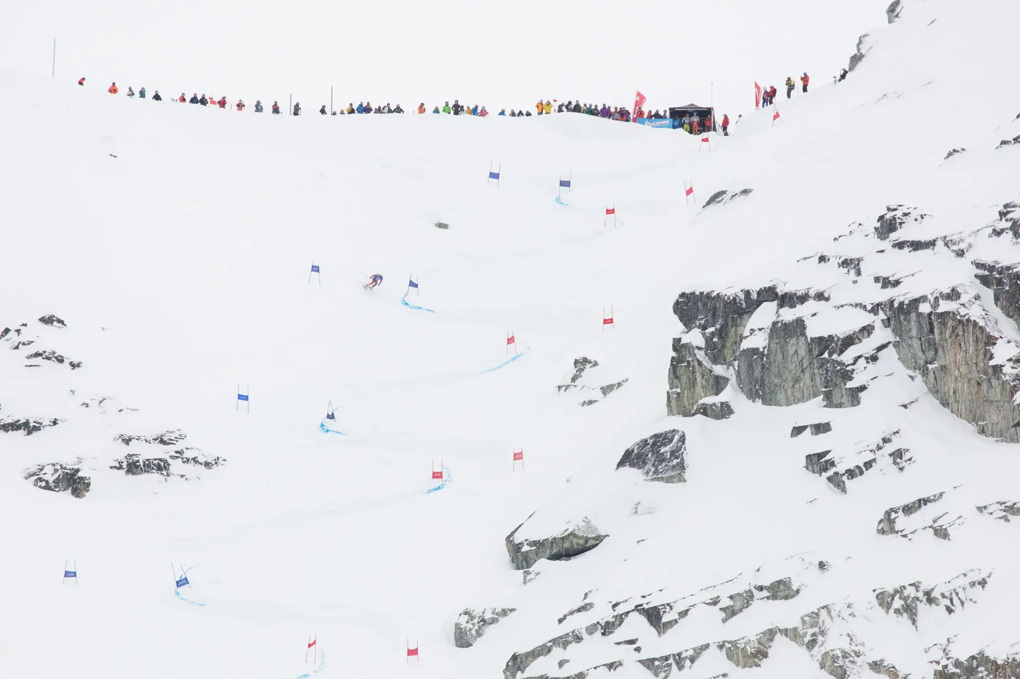 Things to Do in Vancouver Before or After the World Ski & Snowboard Festival in Whistler