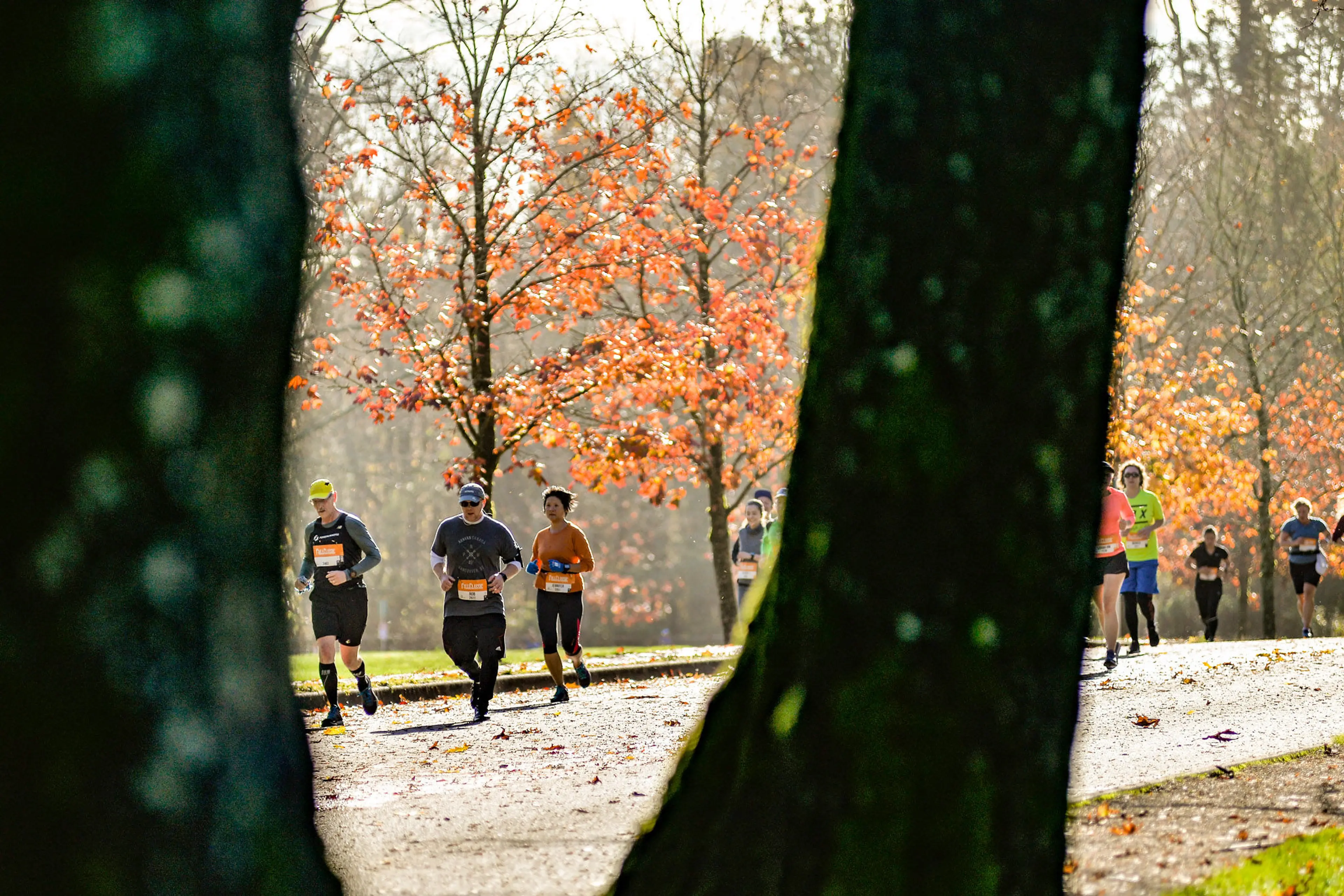 Your October Guide to Wellness Events in Vancouver