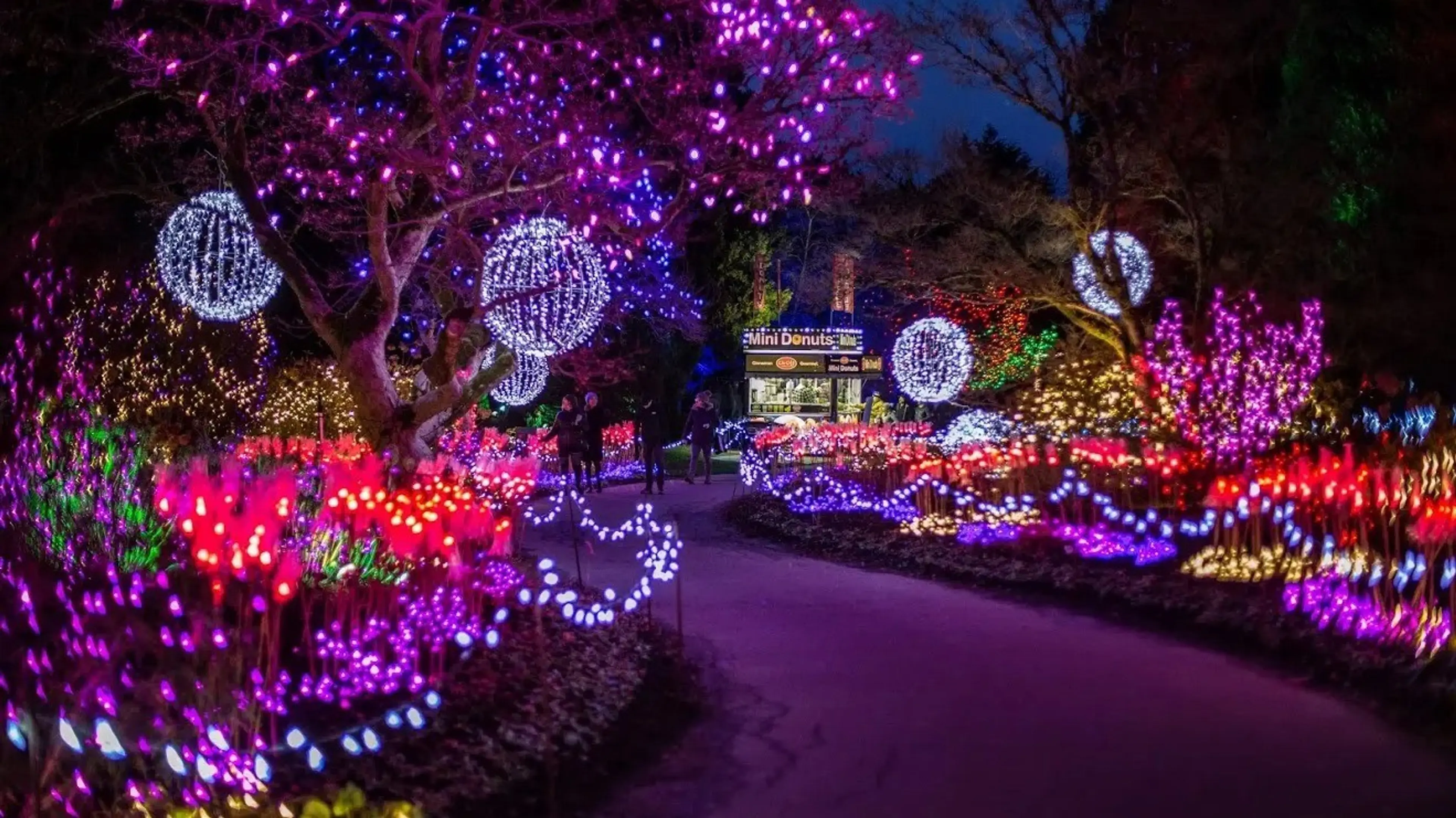 w-1319h-742-398886-6ee0d6a15c30751cb01a9969a5a0e698b029e887-1320x880