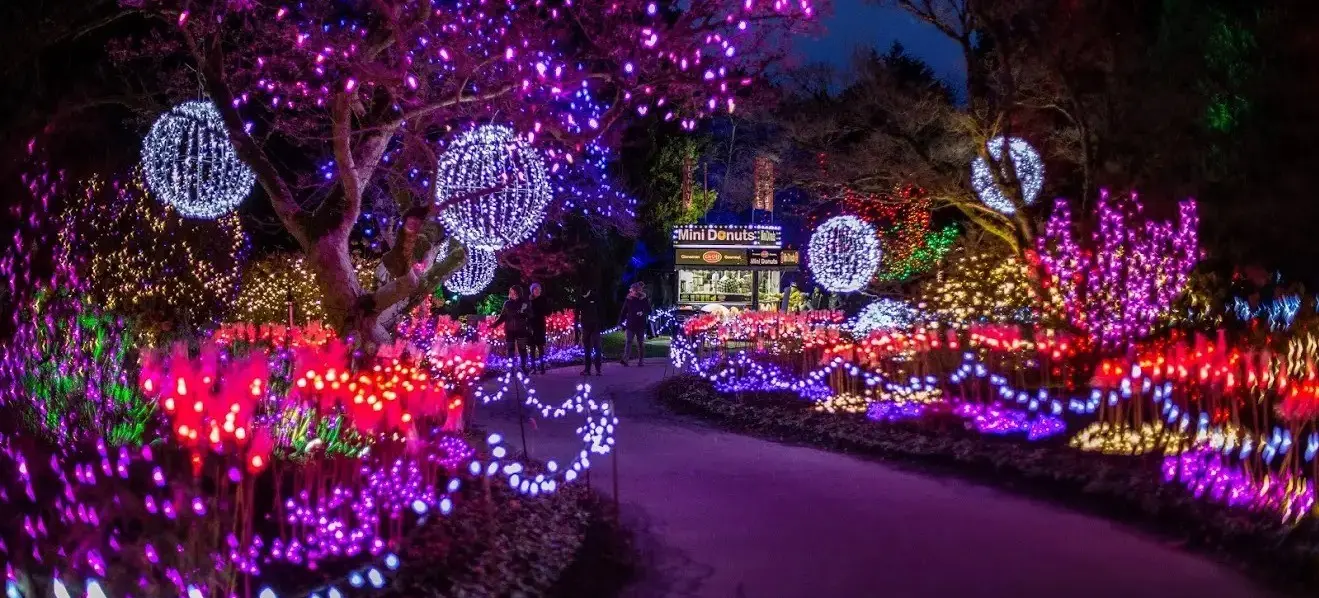 w-1319h-742-398886-6ee0d6a15c30751cb01a9969a5a0e698b029e887-1320x880