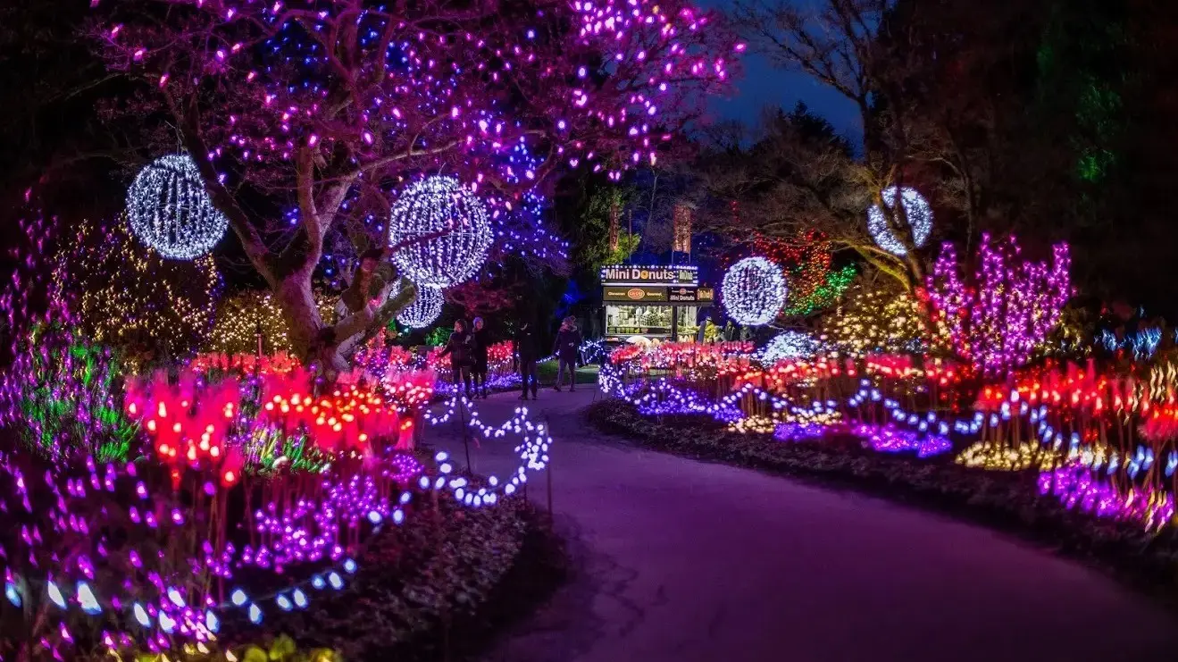 w-1319h-742-398886-6ee0d6a15c30751cb01a9969a5a0e698b029e887-1320x880