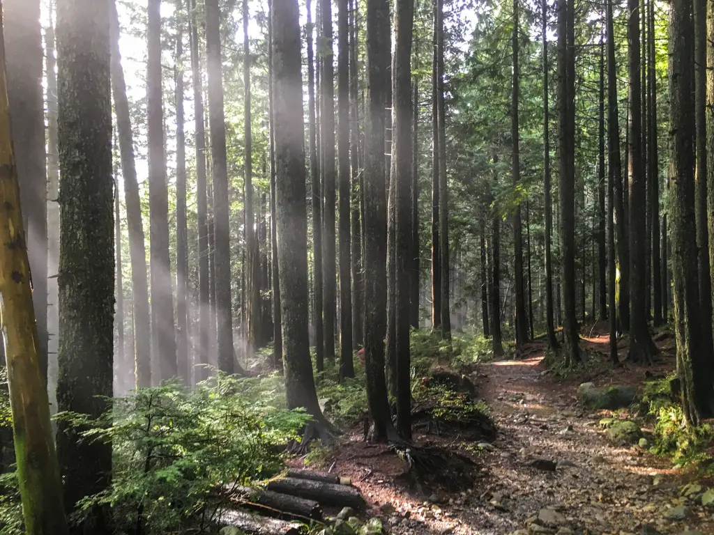 Brother's Creek Trail in West Vancouver, BC