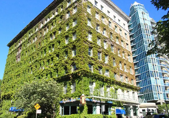 Discover Outdoors Living Walls Sylvia Hotel