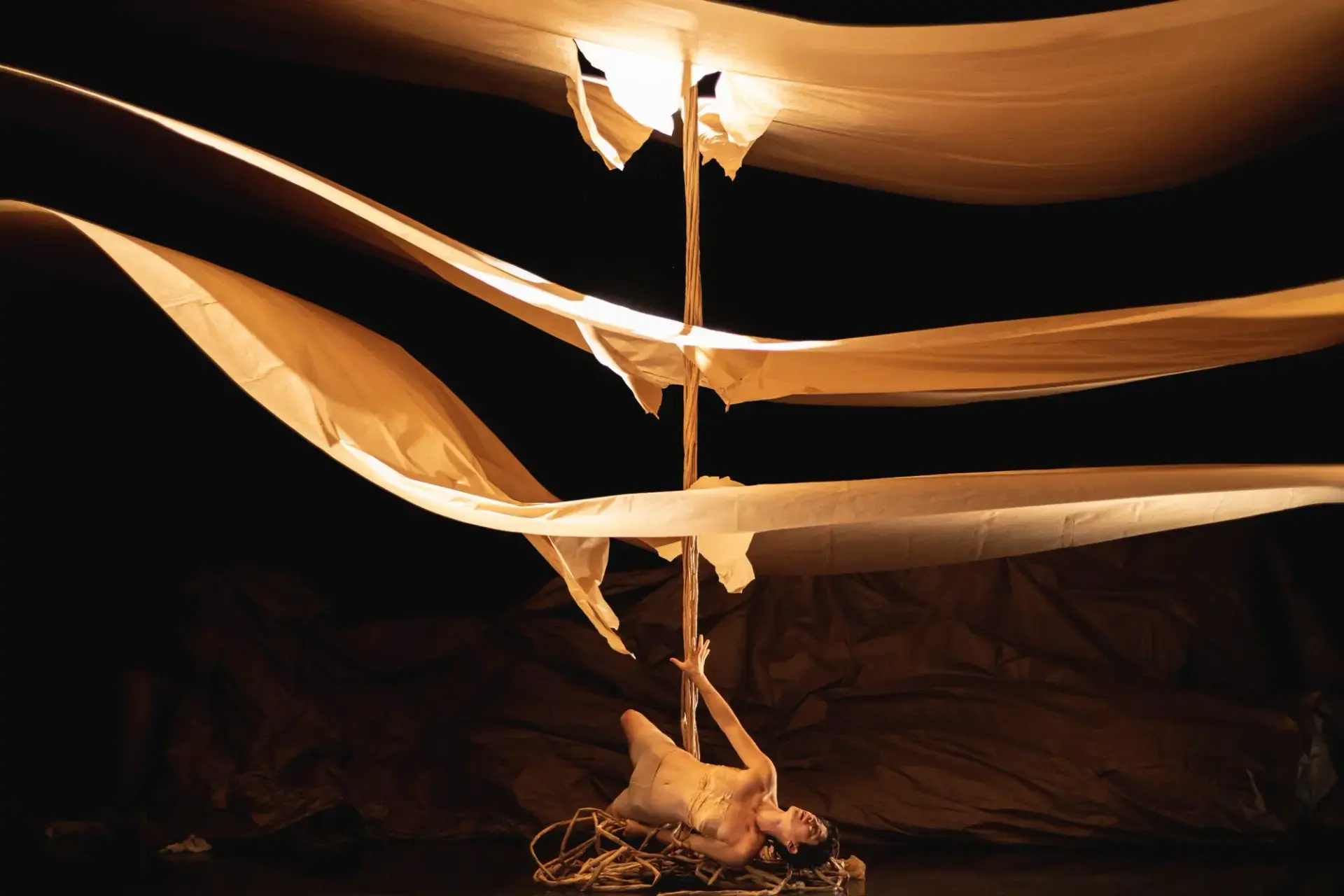 PuSh Festival performance