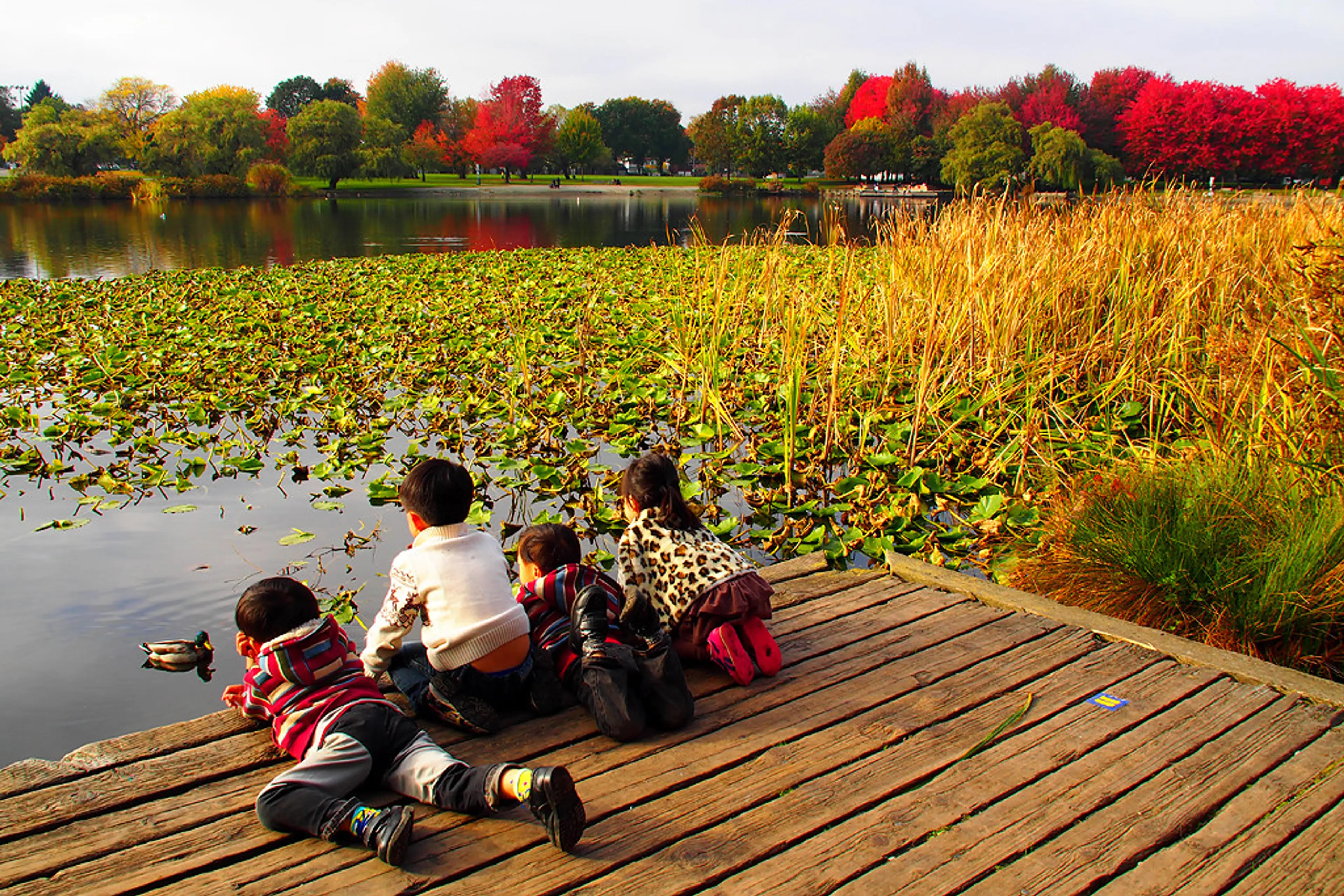 Explore Metro Vancouver with the 2017 Parks Passport Program