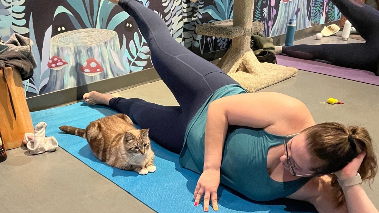 w-1440h-810-f6f915-3