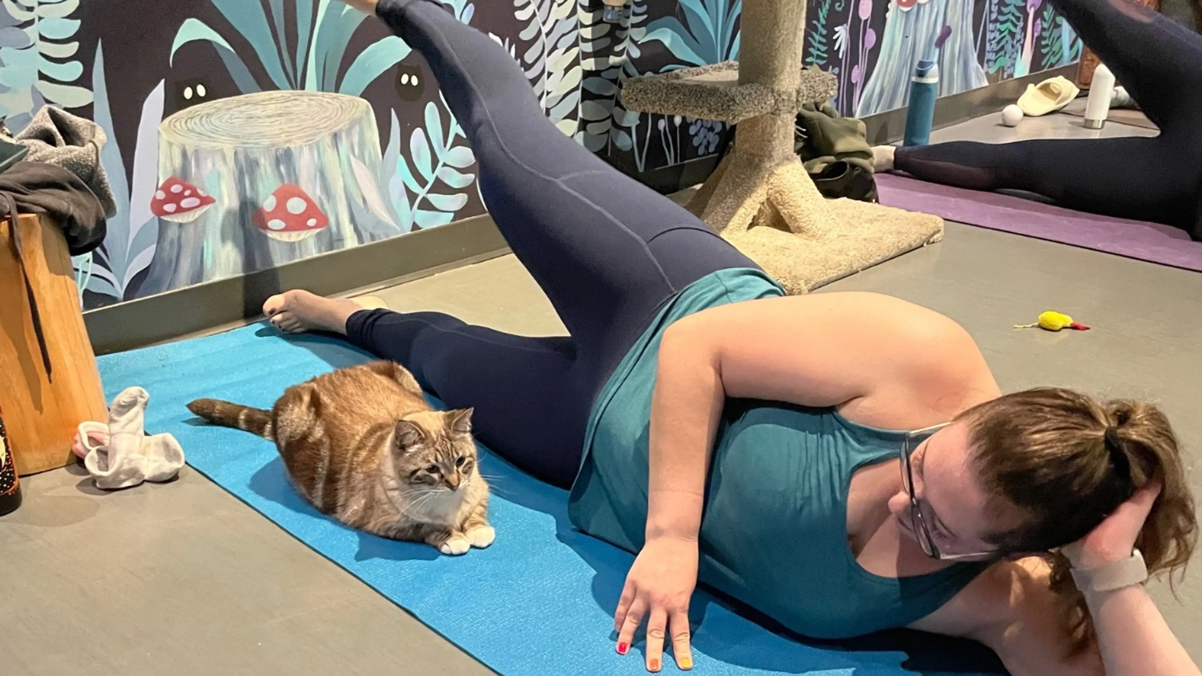 Barre Fitness with Cats Destination Vancouver