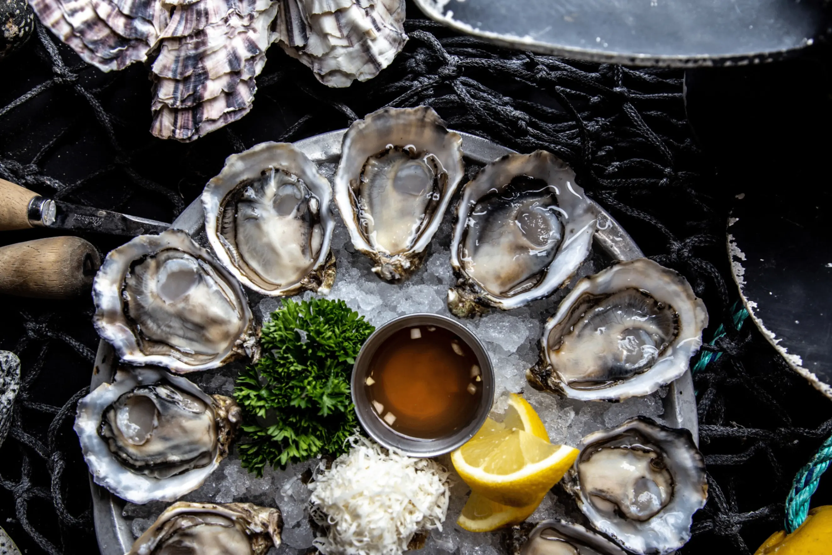 Plate of raw oysters on ice with lemon wedges, parsley, and a small cup of sauce on a fishing net background.