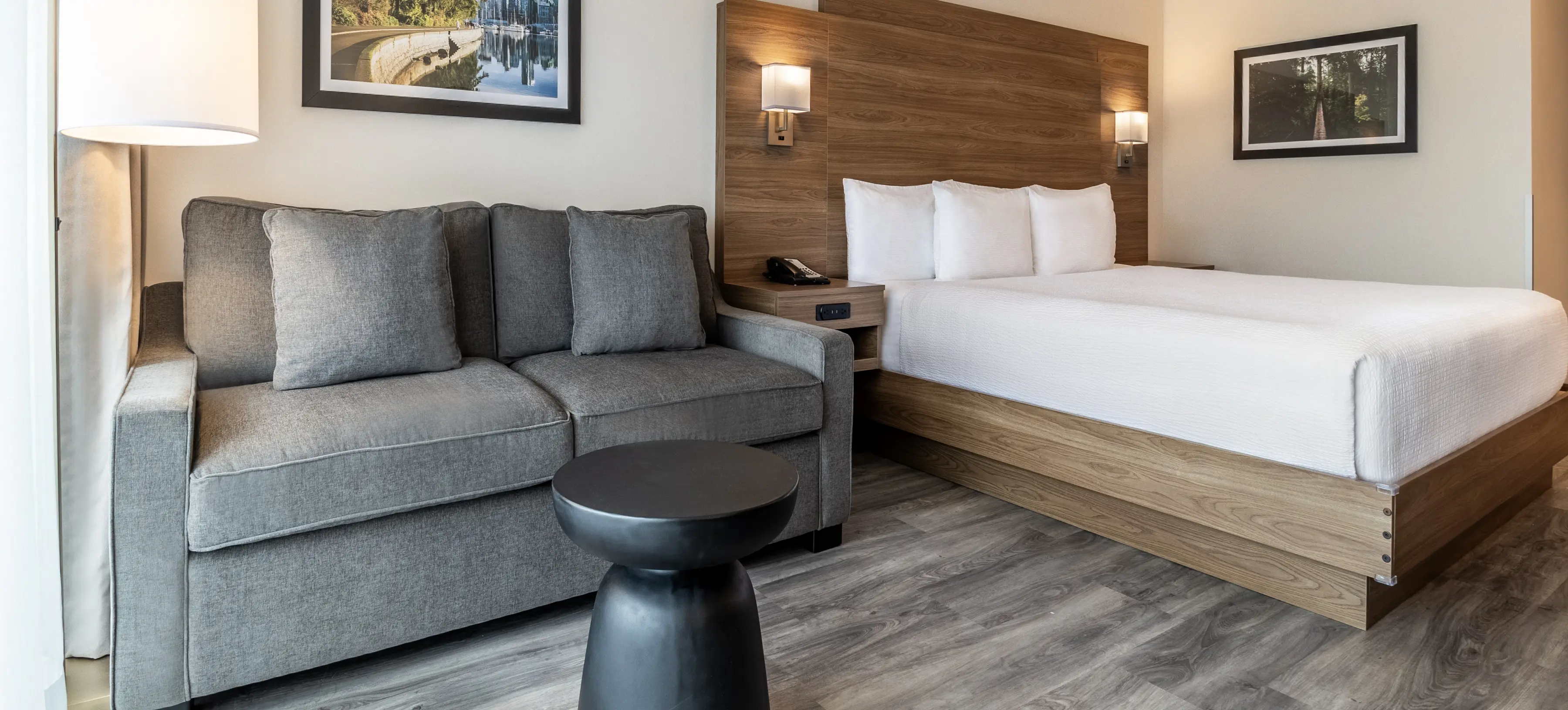 One King Room with Sofabed