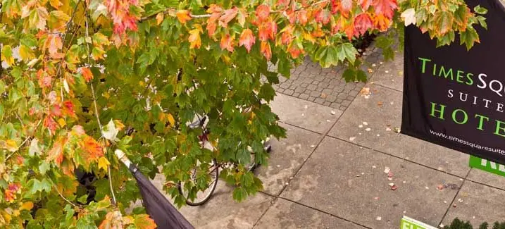 Times Square Suites Hotel