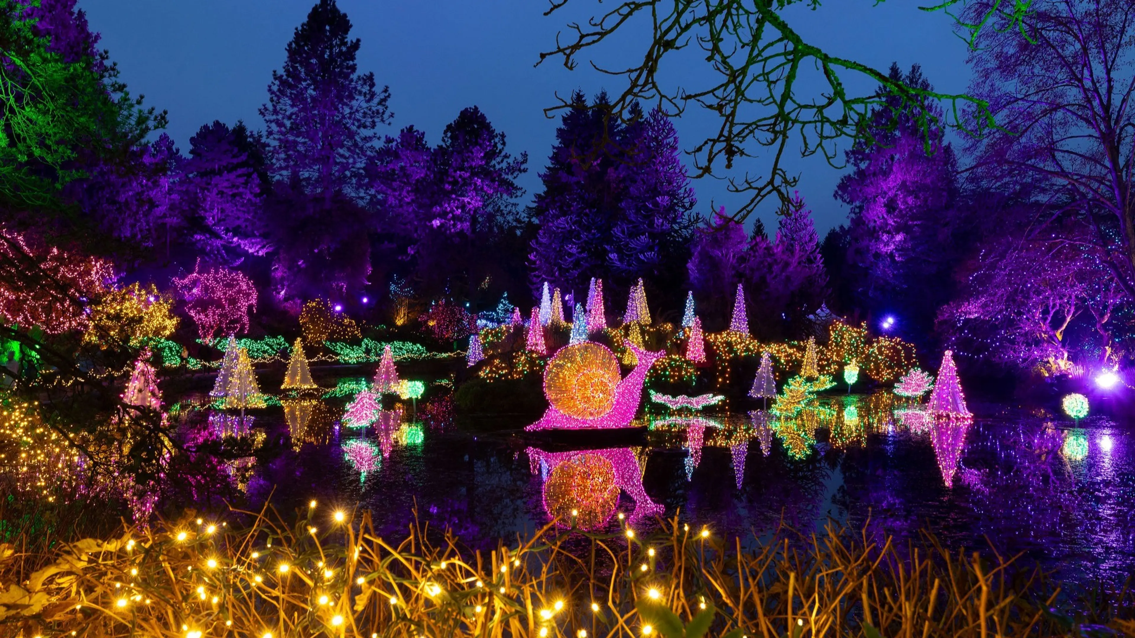 VanDusen-Festival-of-Lights-2023-1040