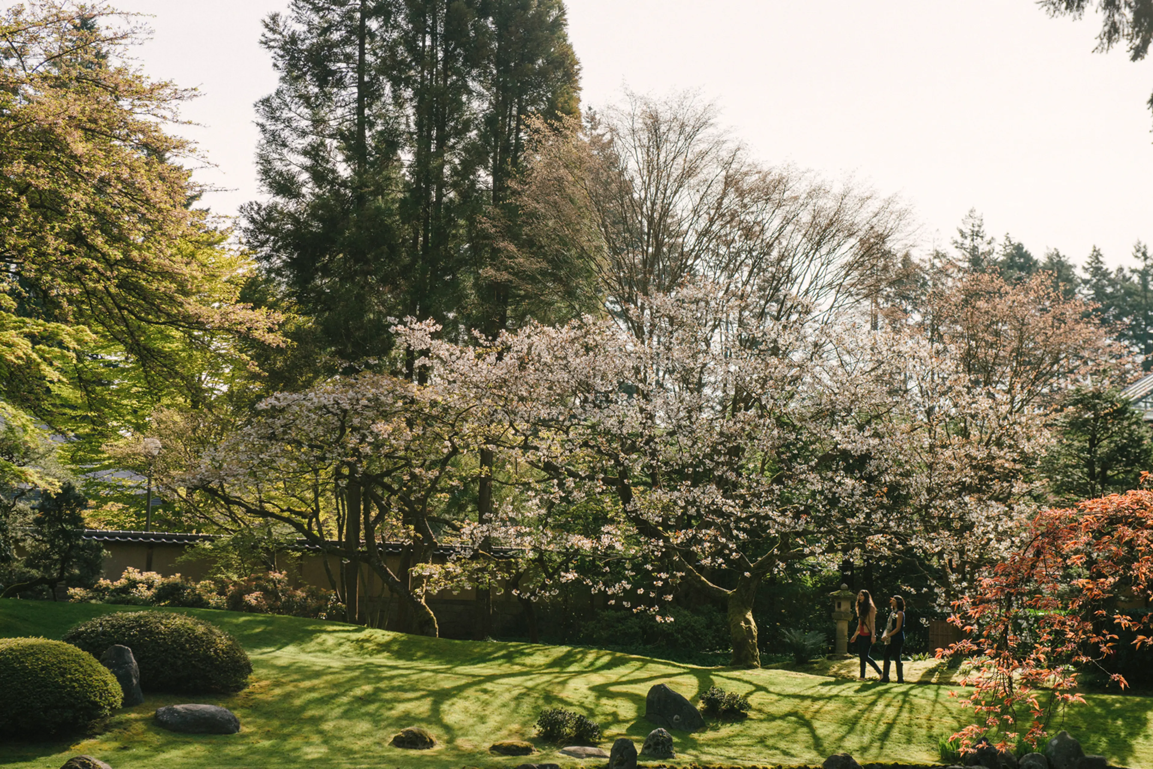 Nitobe Memorial Garden in Vancouver