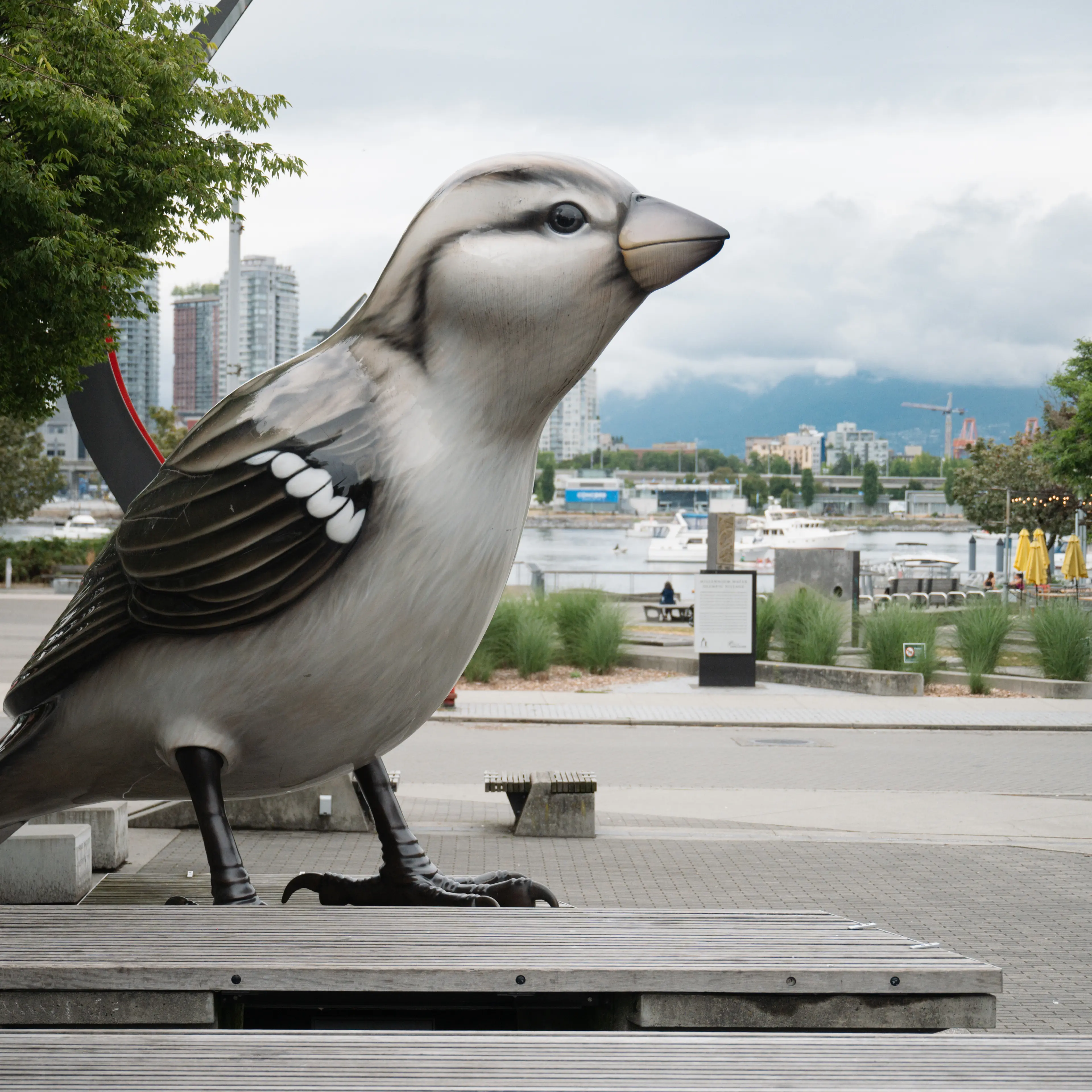 Big Birds at Olympic Village