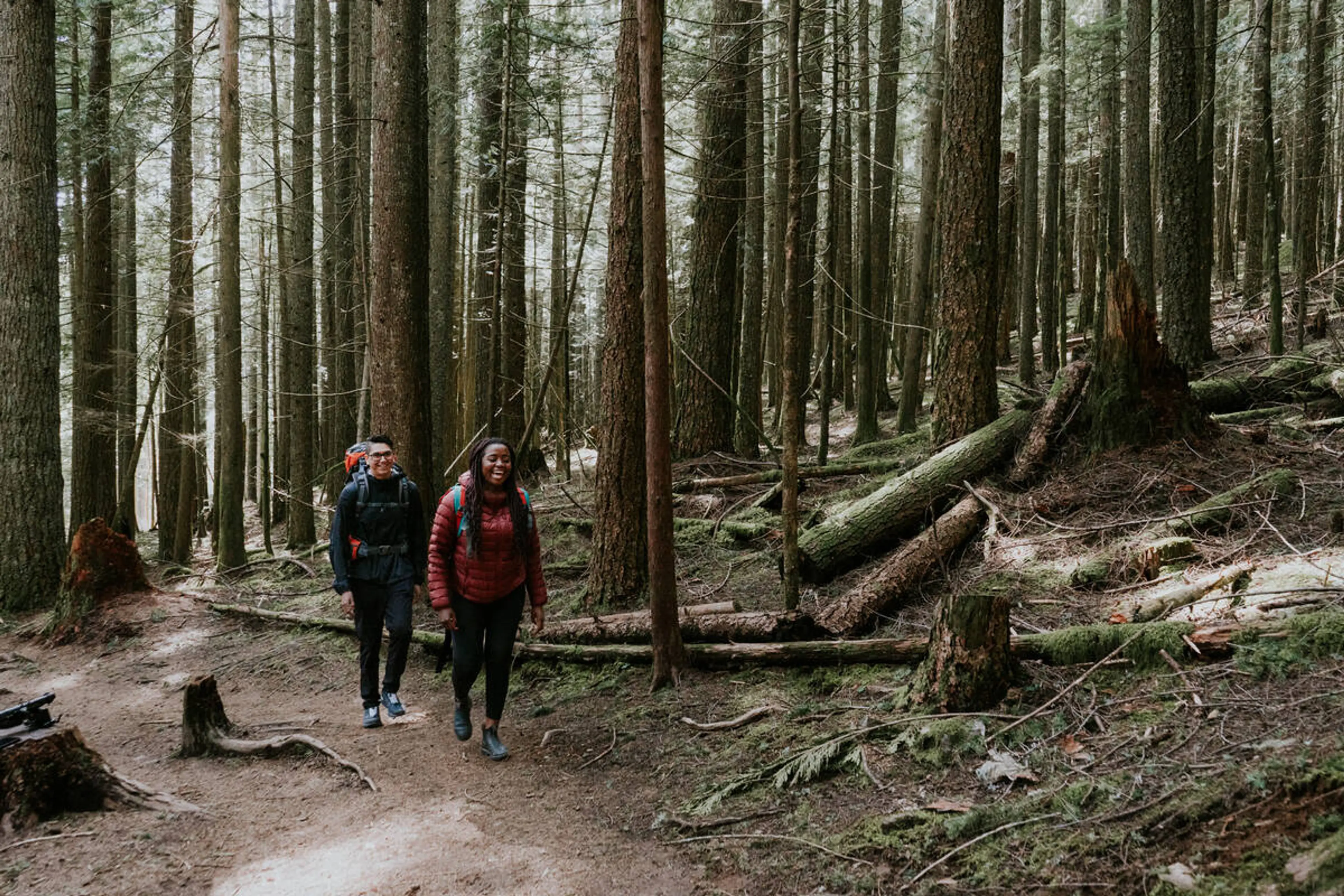 People hiking through the forest on the Elk Mountain Trail