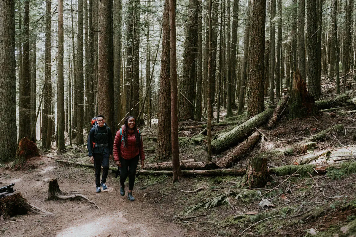 People hiking through the forest on the Elk Mountain Trail