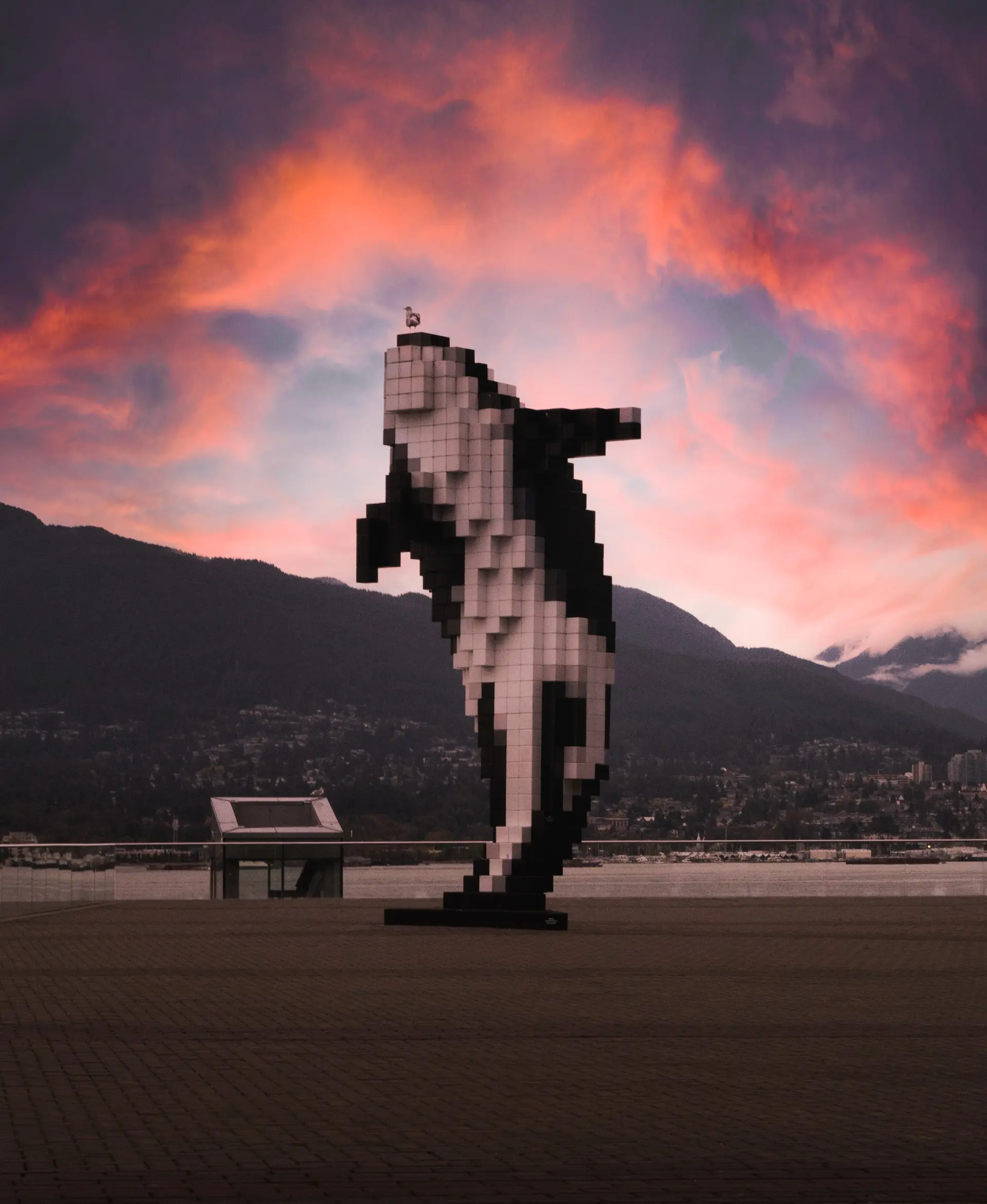 Digital orca sculpture at sunset in Vancouver