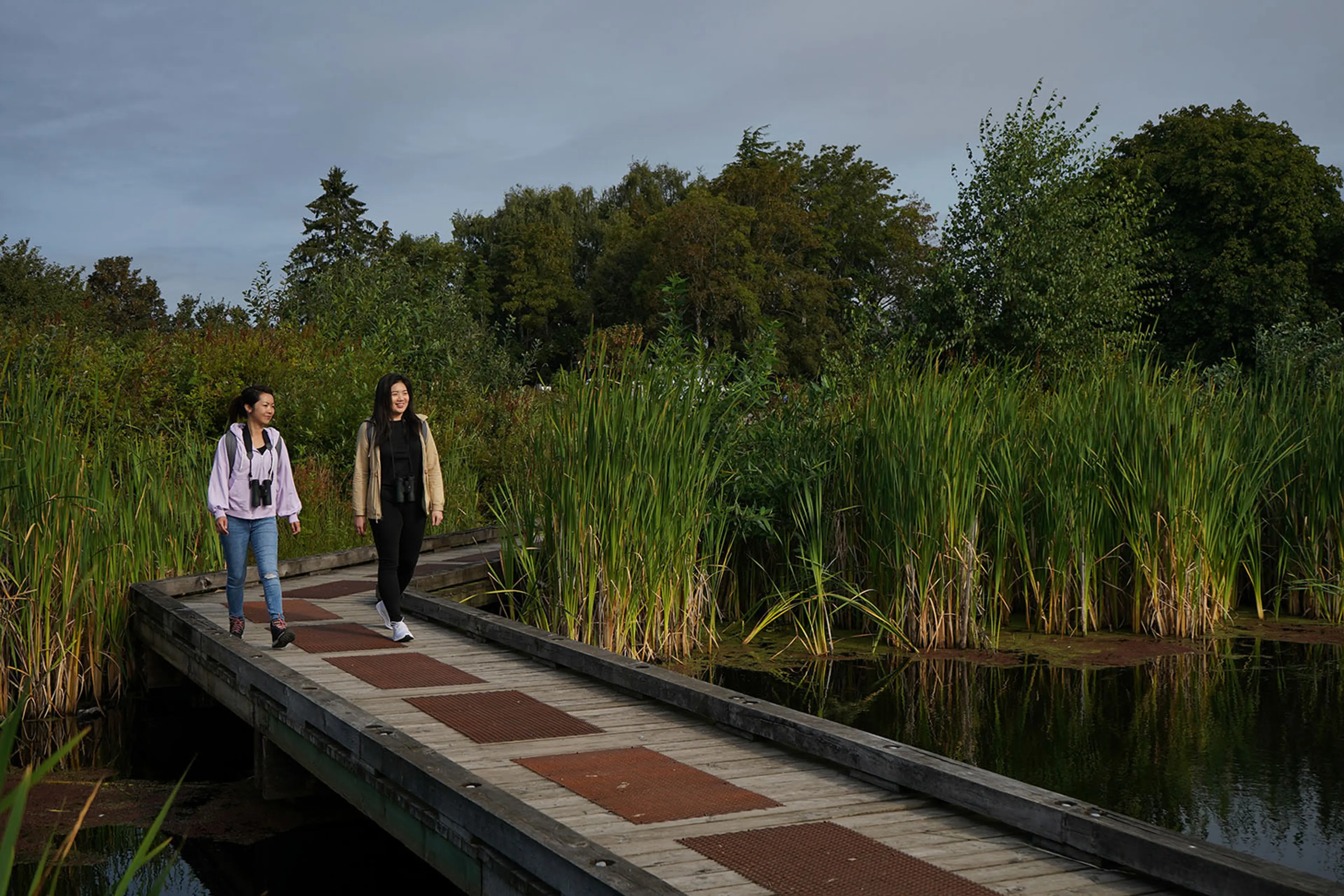Two people walking along a boardwalk at Terra Nova Rural Park in Richmond