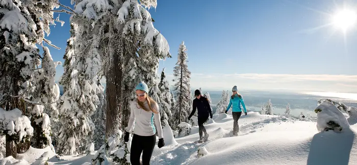 Snowshoe Winter Grind Vancouver Grouse Mountain
