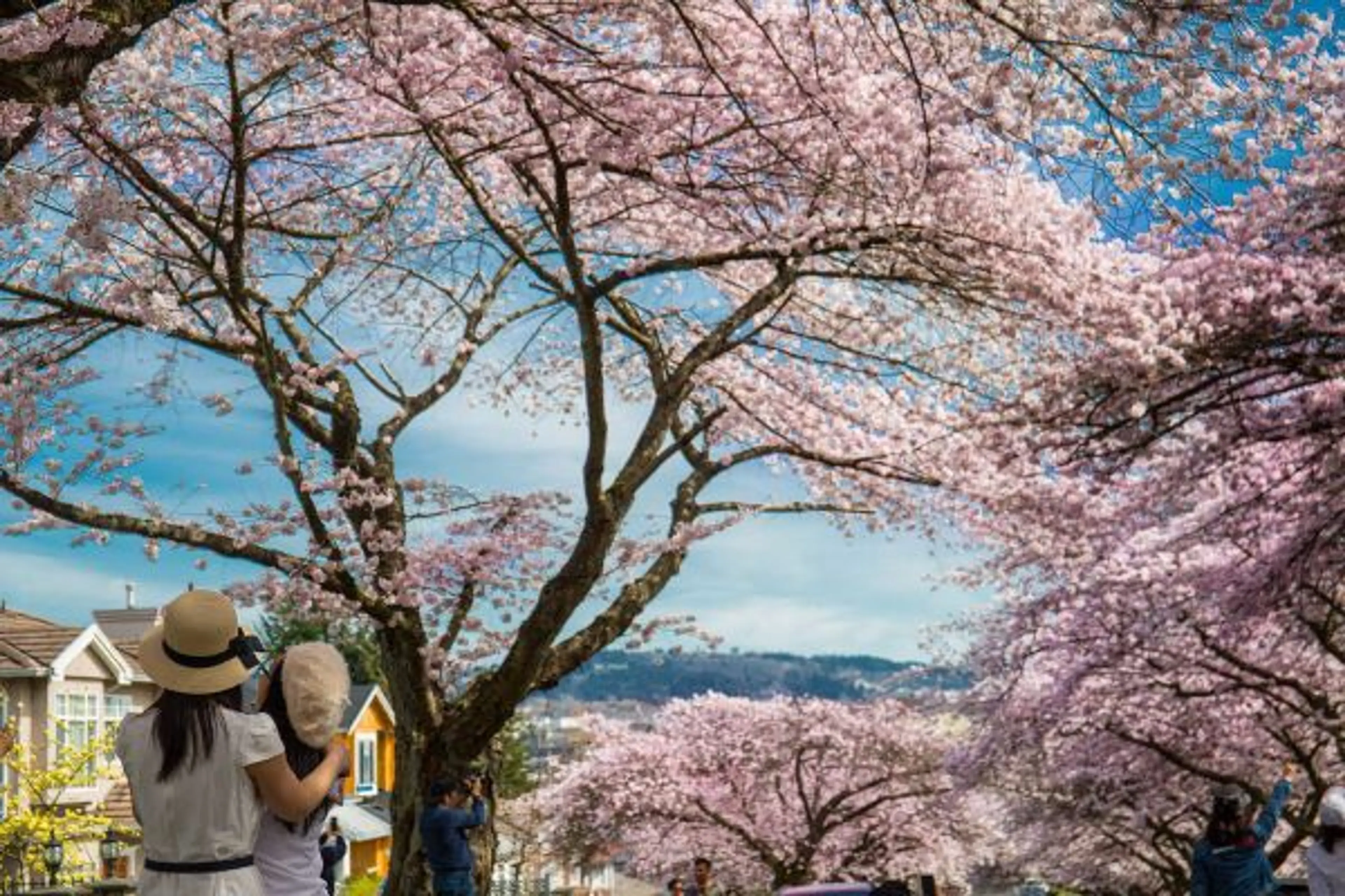 Put a Spring in Your Step, Vancouver Style