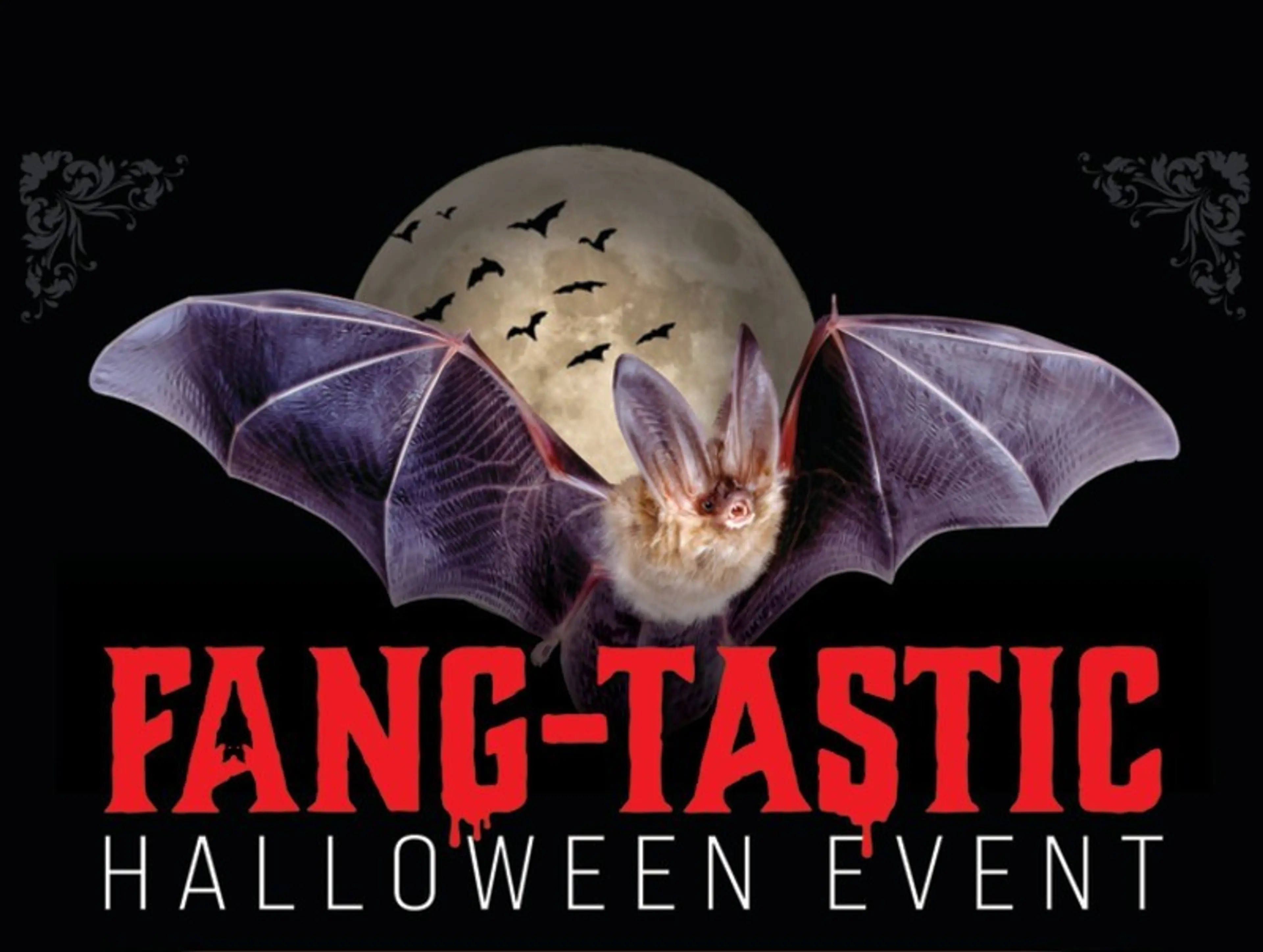 2024-09-06_BATS-HALLOWEEN_event-page_6FBBEA65-B963-C303-13365431BEE1B0CE_6fc247e3-fba5-e97a-6c34d86334a9858f