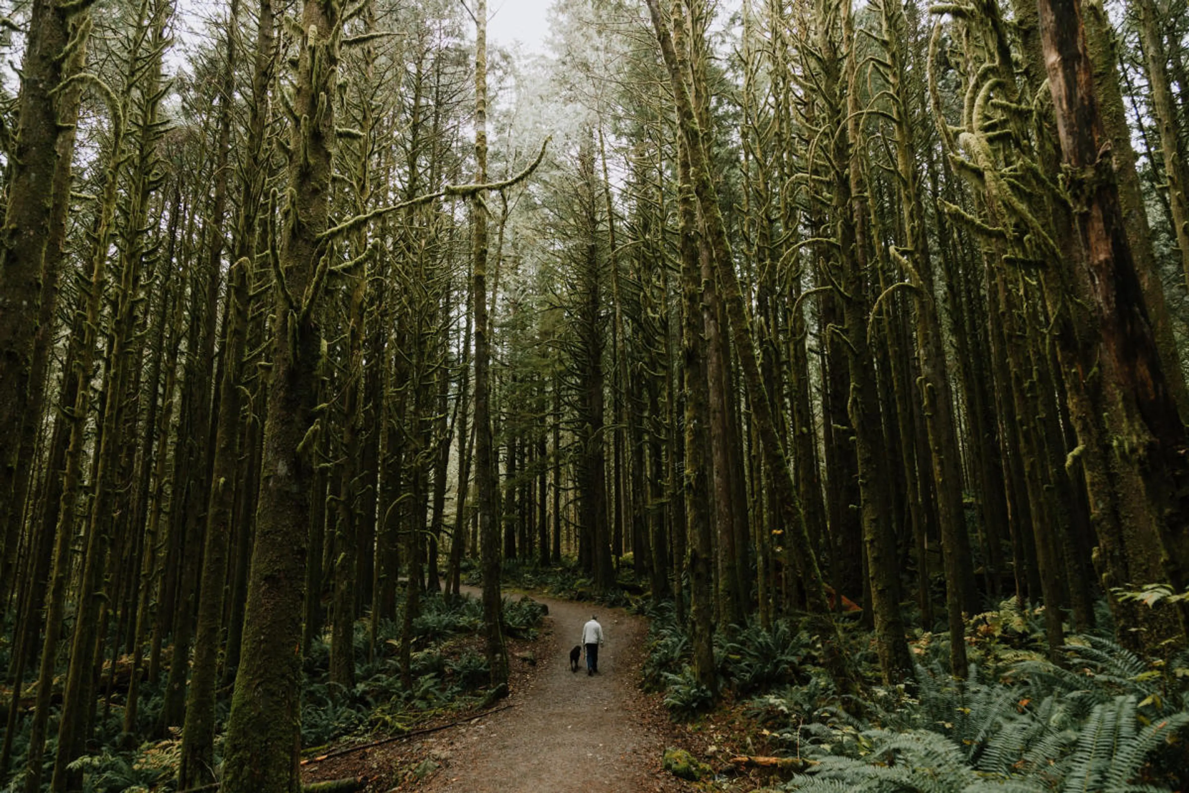 Hiking in Golden Ears Provincial Park