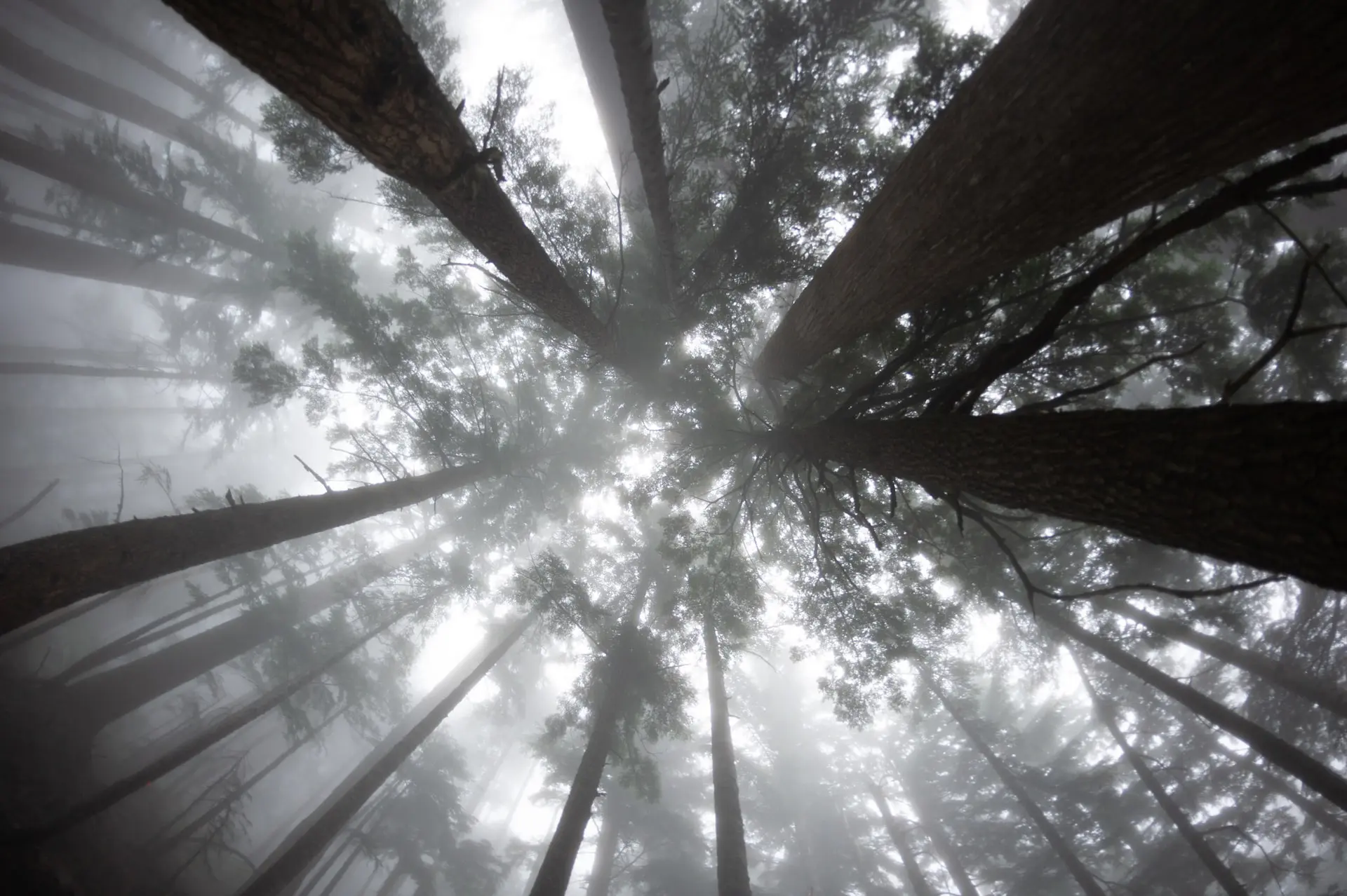 10 Fun Rainy Day Hikes Around Vancouver
