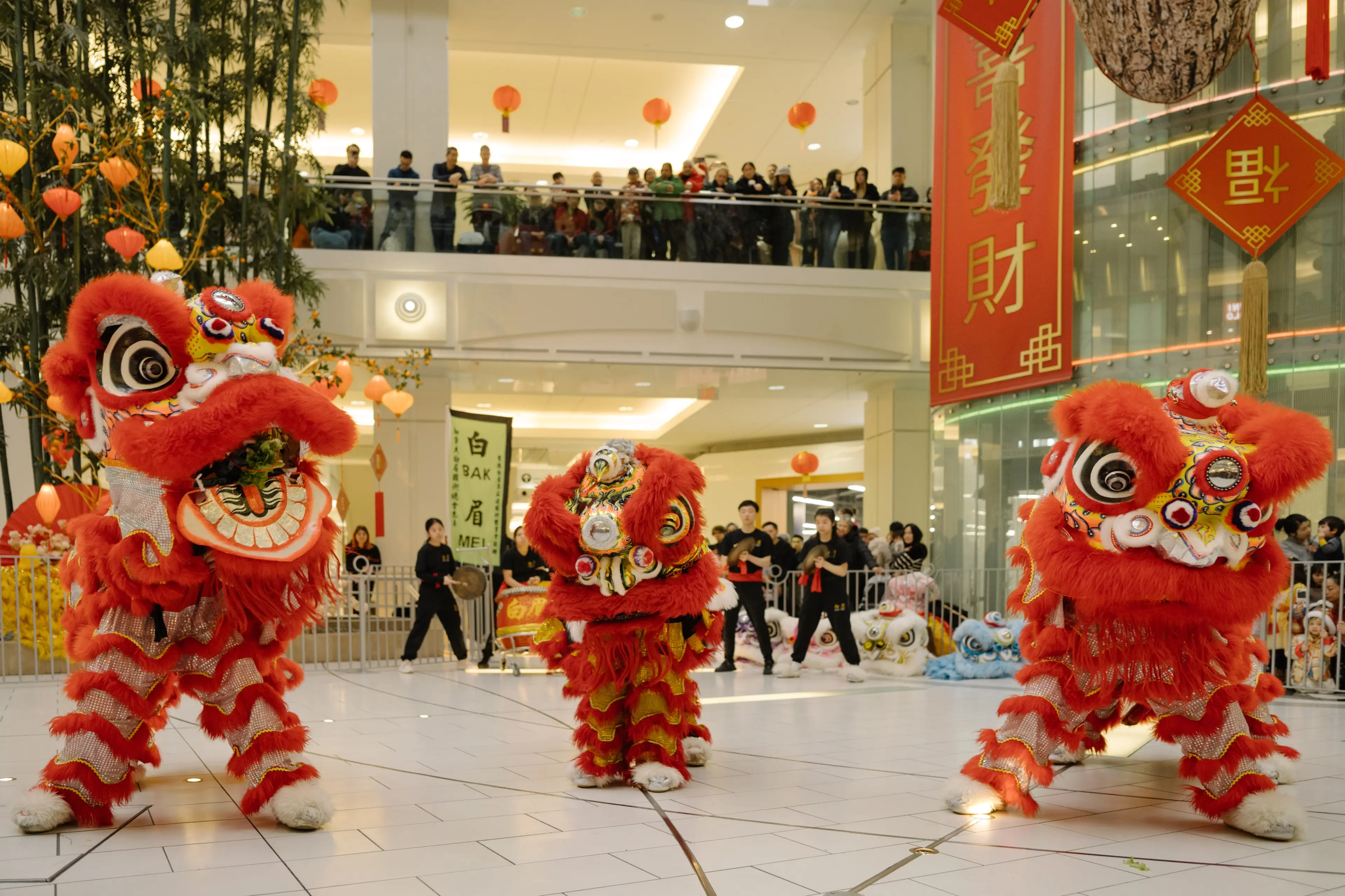 Lion Dance at Metrotown mall, Vancouver.