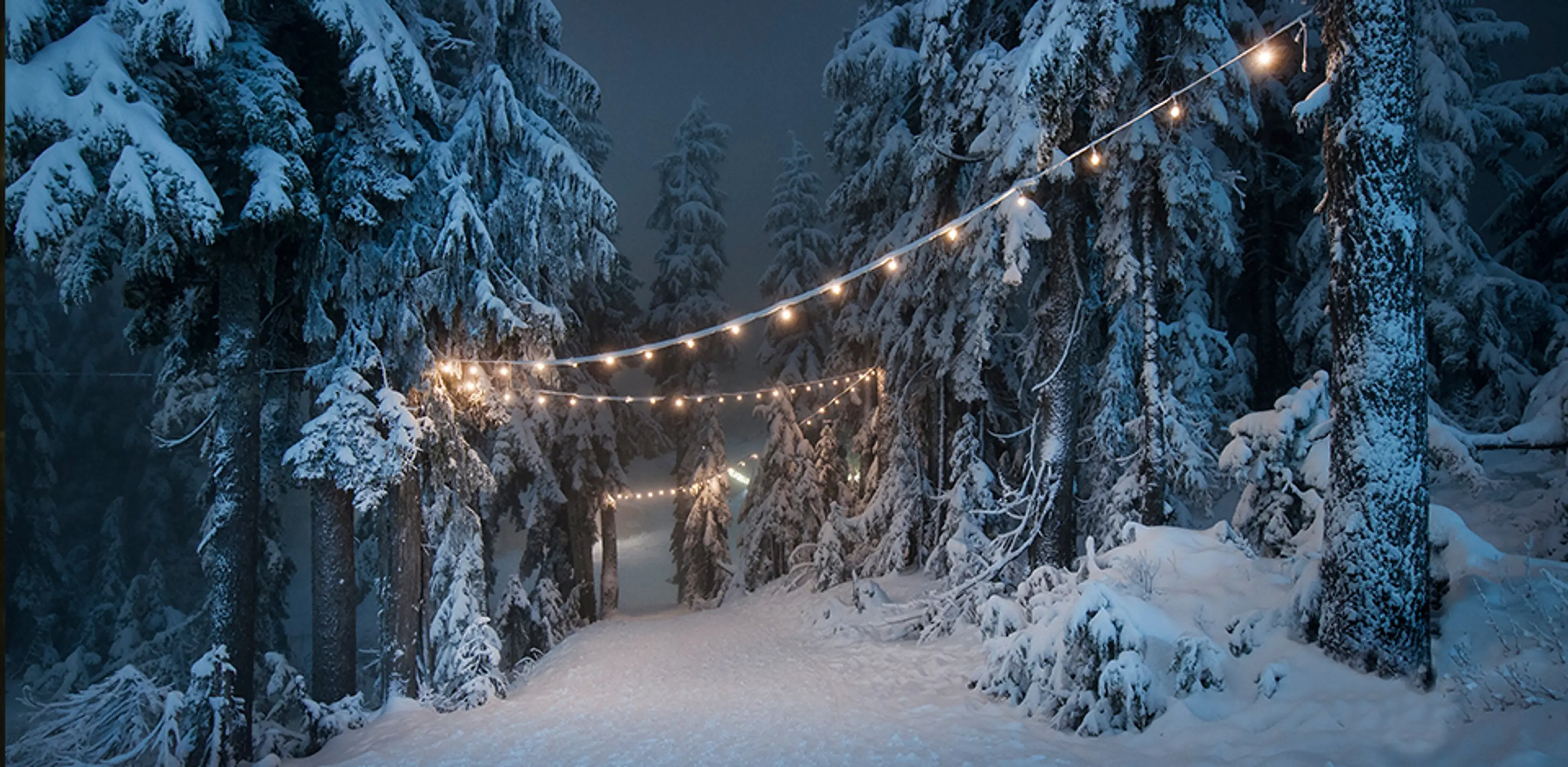 A snowy path through the forest at Grouse Mountain at night is lit up with holiday lights as part of the Light Walk experience. 