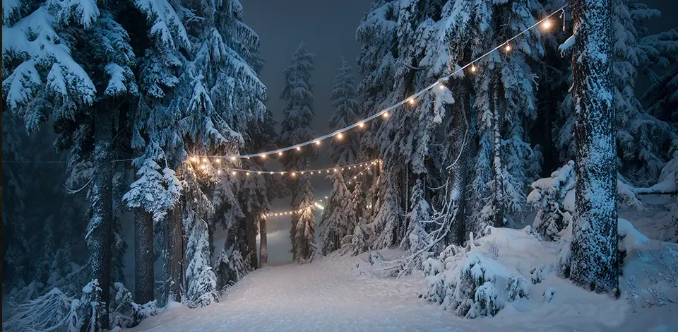 A snowy path through the forest at Grouse Mountain at night is lit up with holiday lights as part of the Light Walk experience.