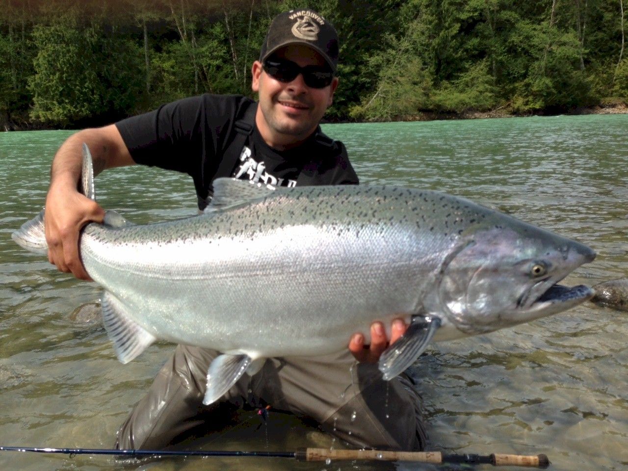 Chinook Salmon