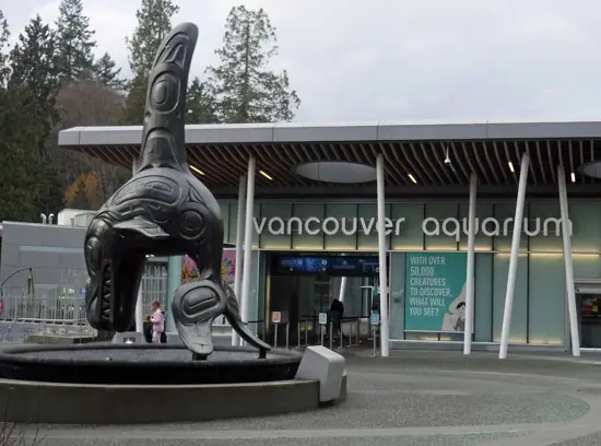 A Fishy Story in Stanley Park